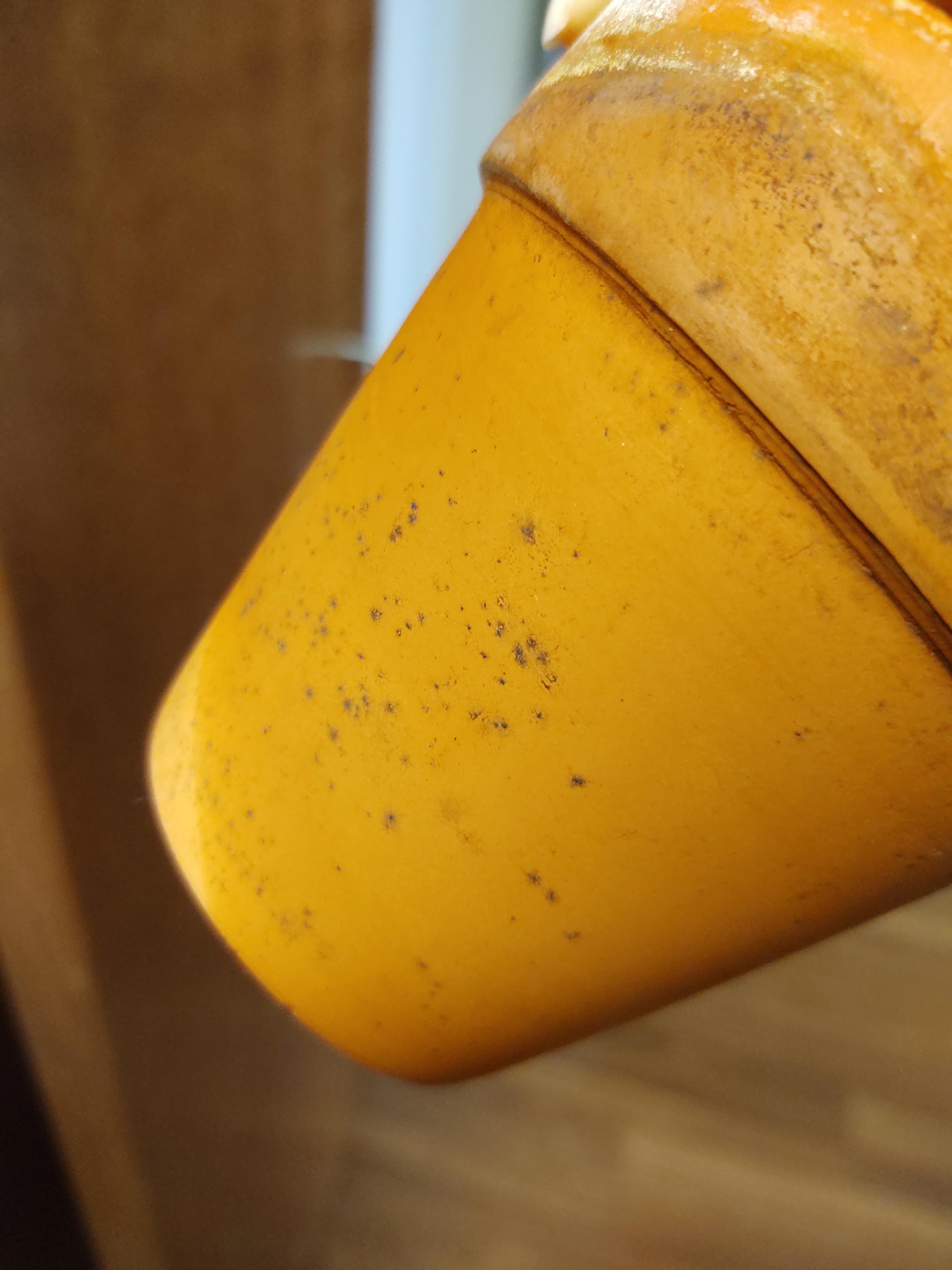Anyone know what these spots are on my Terra cotta pot? r/gardening