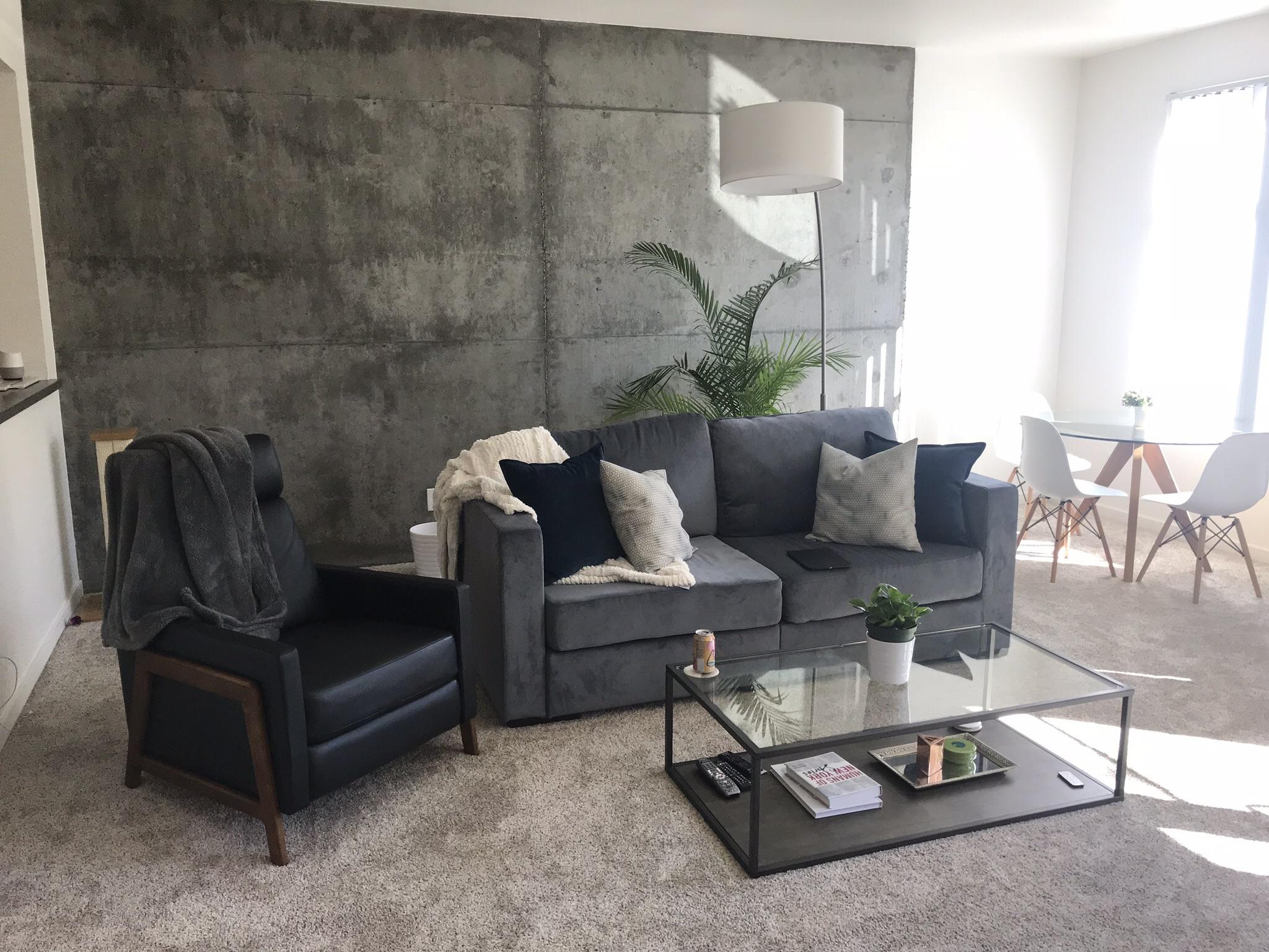 Any rug style/color suggestions? r/malelivingspace