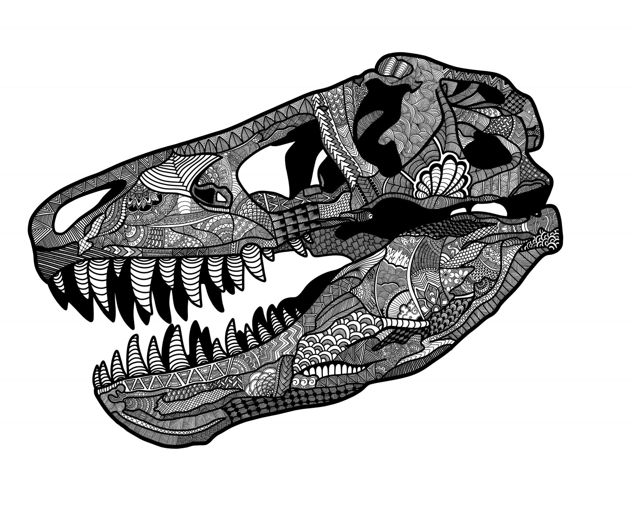 TRex Skull, digital drawing