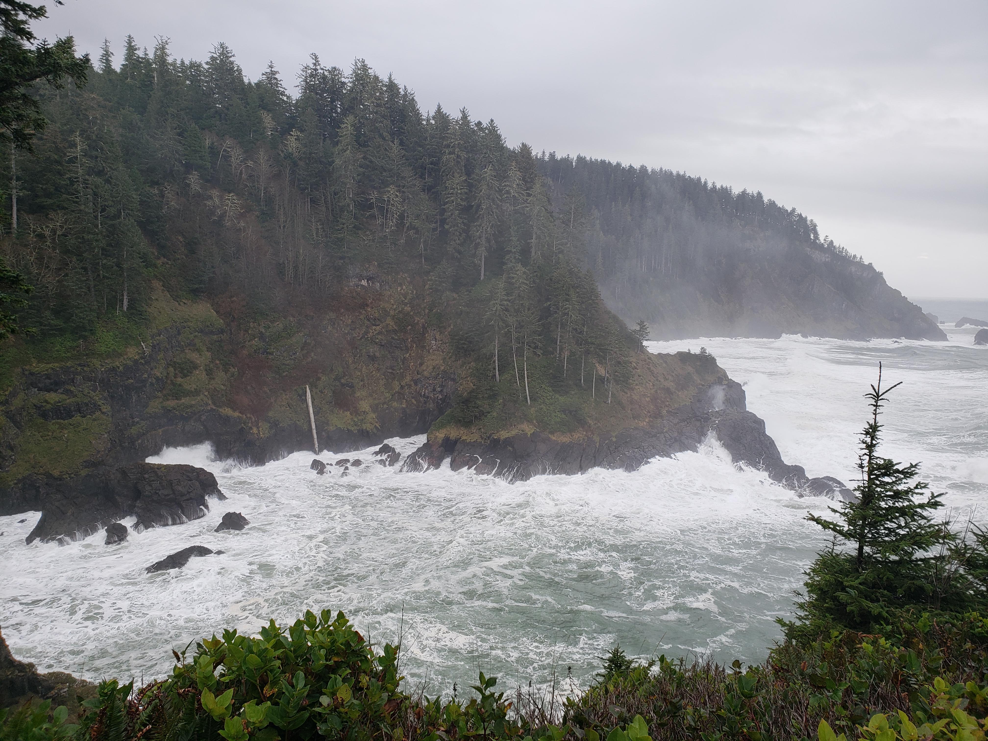 Beautiful 14 mile run to Harts Cove on the Oregon Coast r/trailrunning