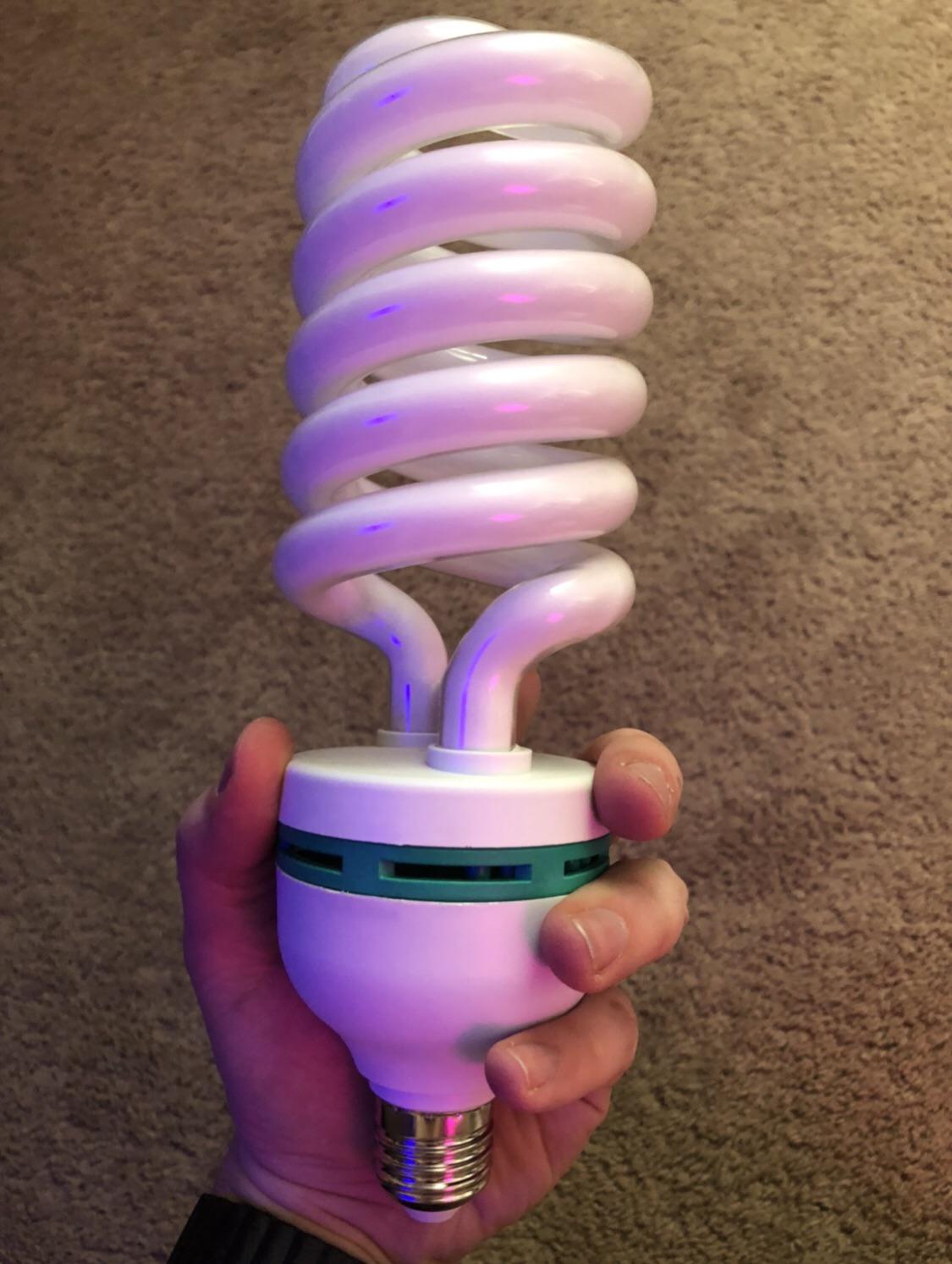 The size of this CFL bulb. r/mildlyinteresting