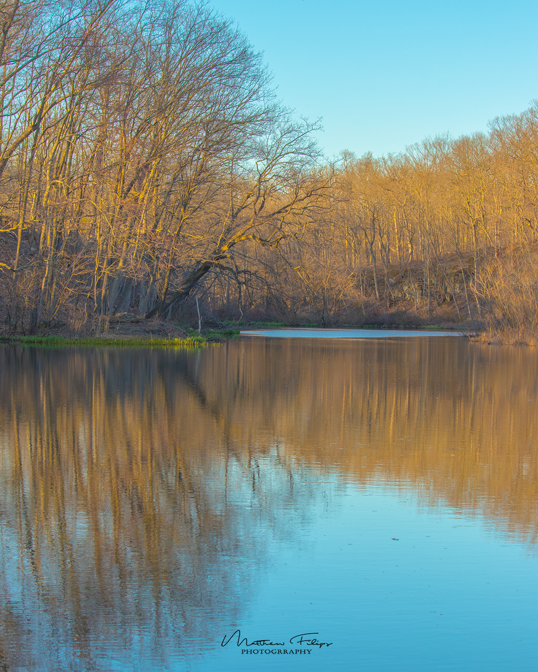 Seeley's Pond, Watchung Reservation NJ [1080x1350] r/EarthPorn
