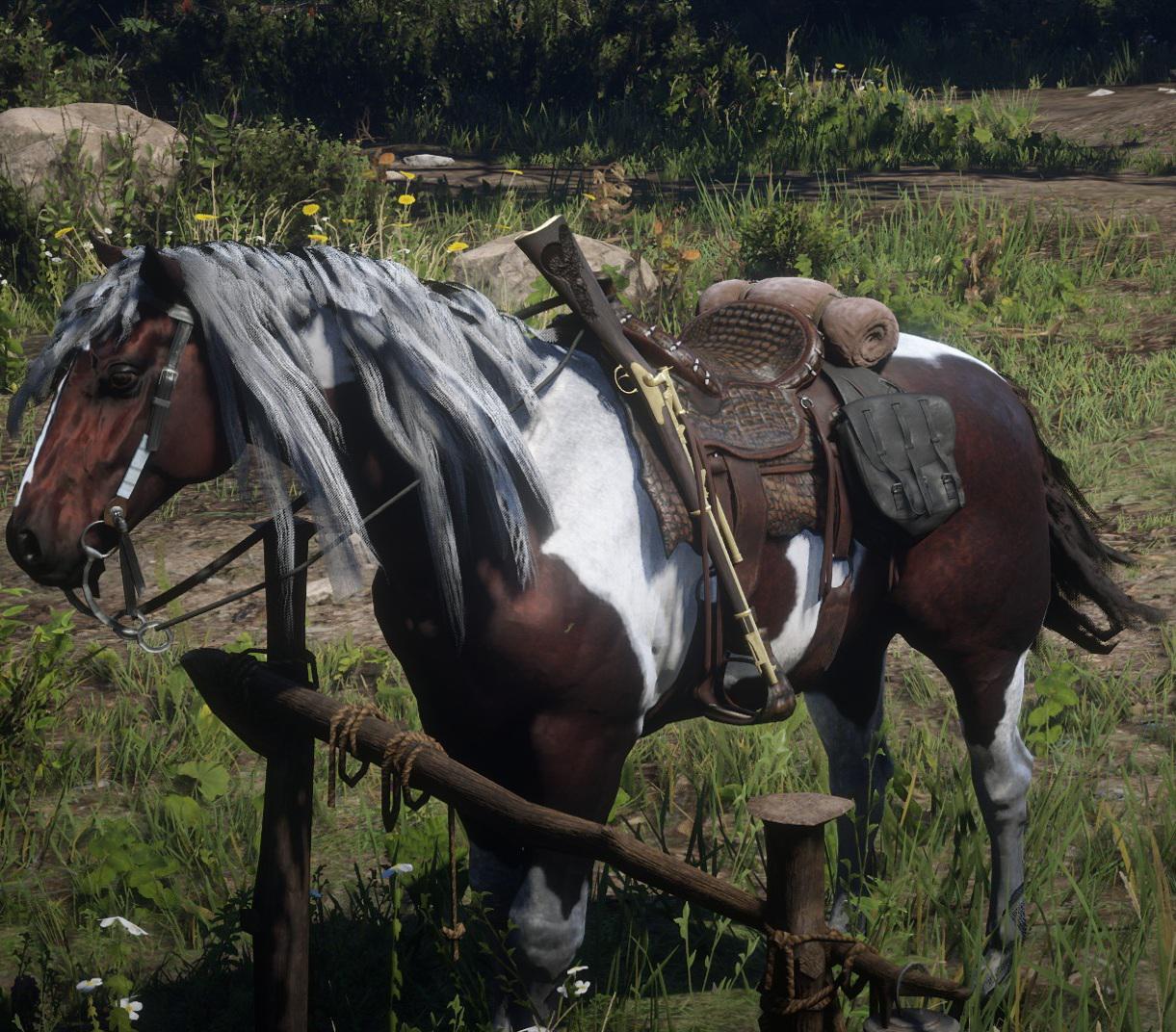 I like this horse r/RDR2