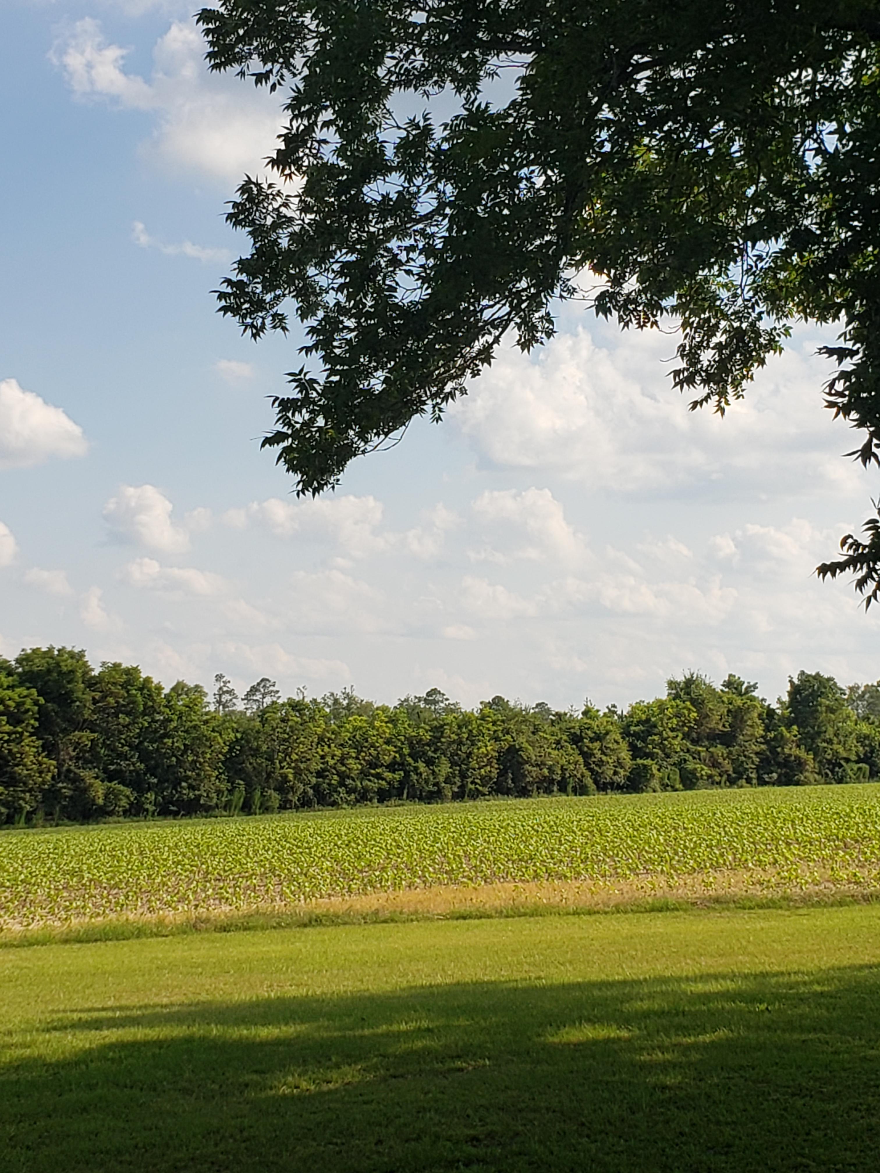 The Farm, Courtesy of Hahira,