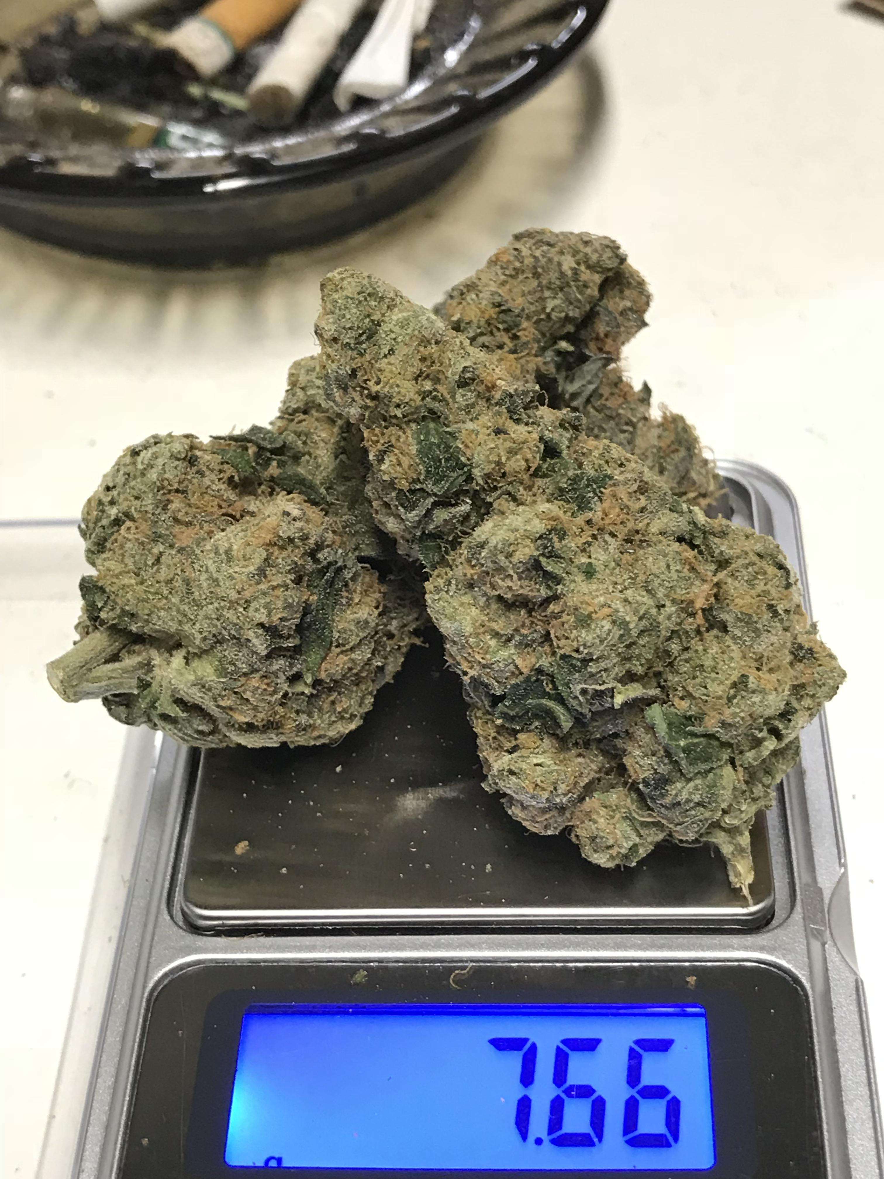 Thin mint GSC! r/weed