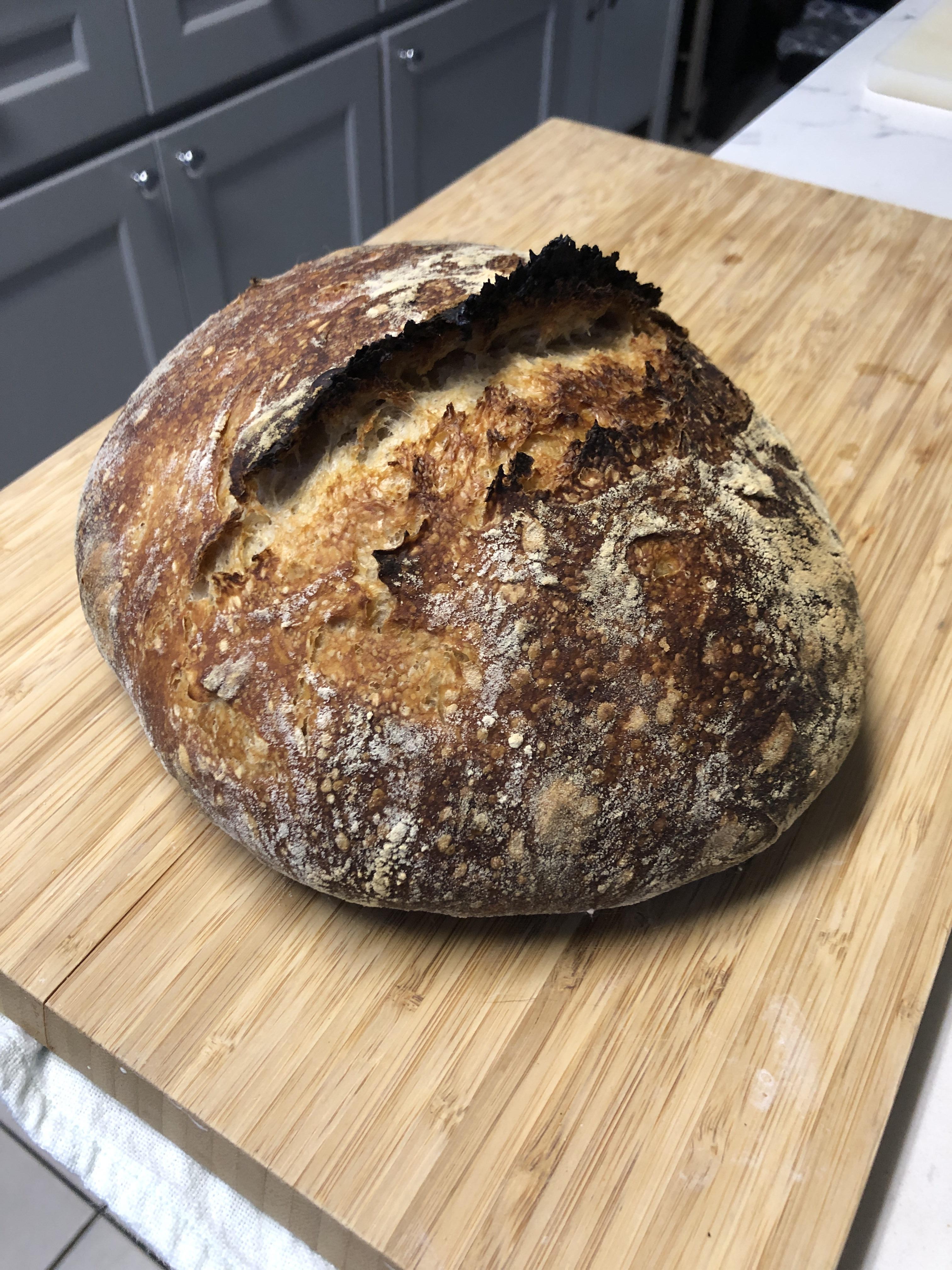 First Sourdough Bread Ever! A No Knead Beginner’s Recipe r/Breadit