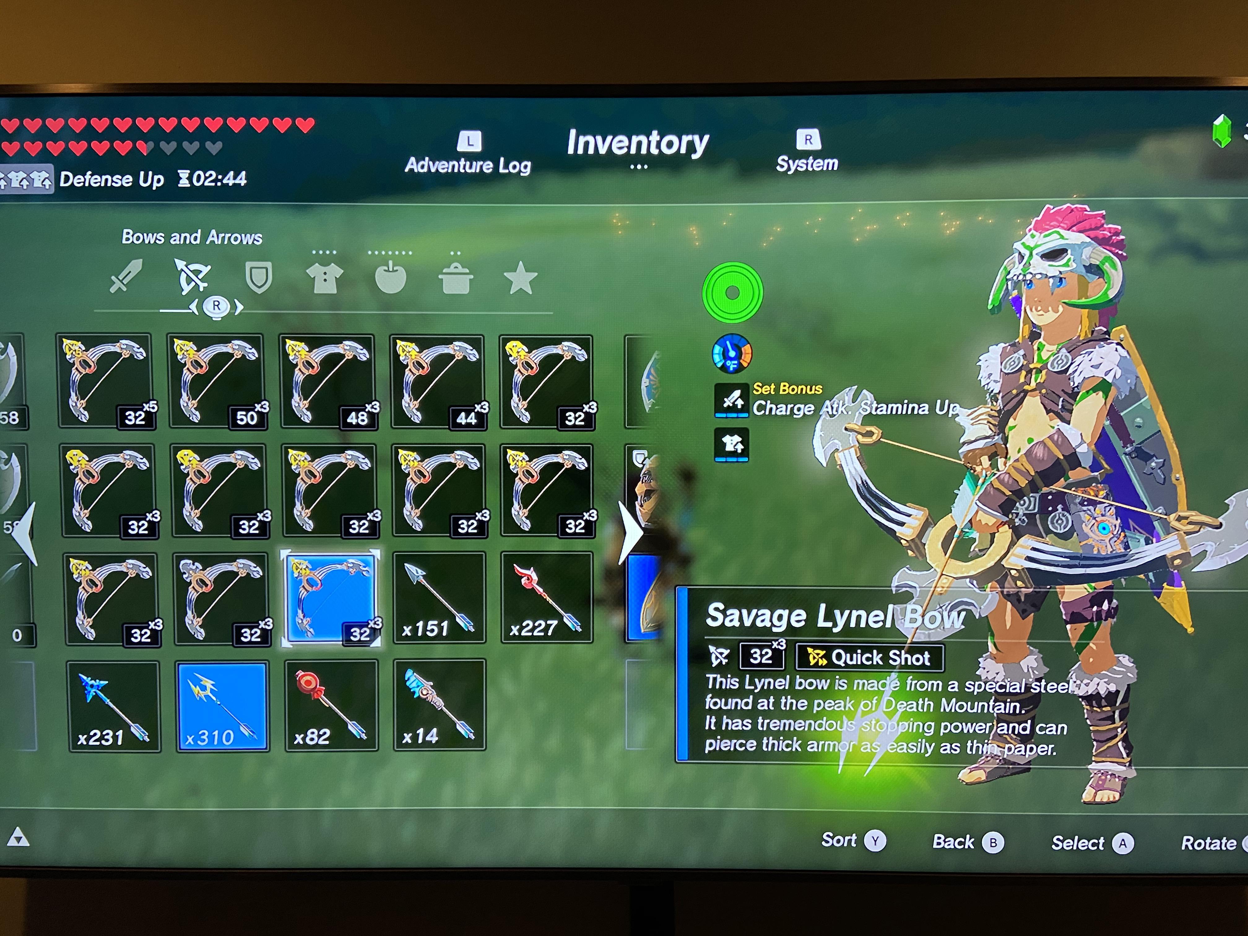 I really like hunting Lynels! Working on getting full Lynel shields and