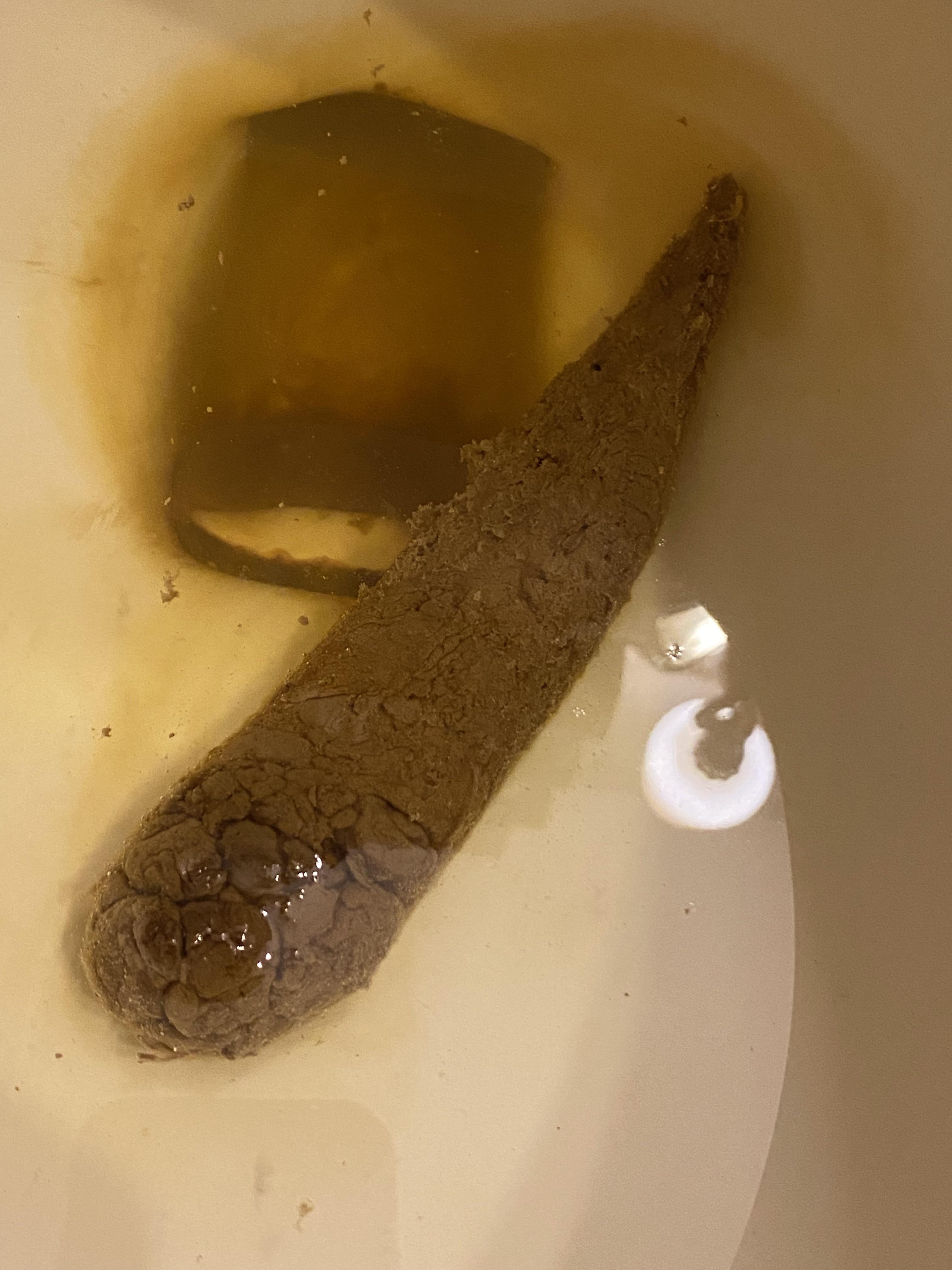 Part 3 the remaining piece poop