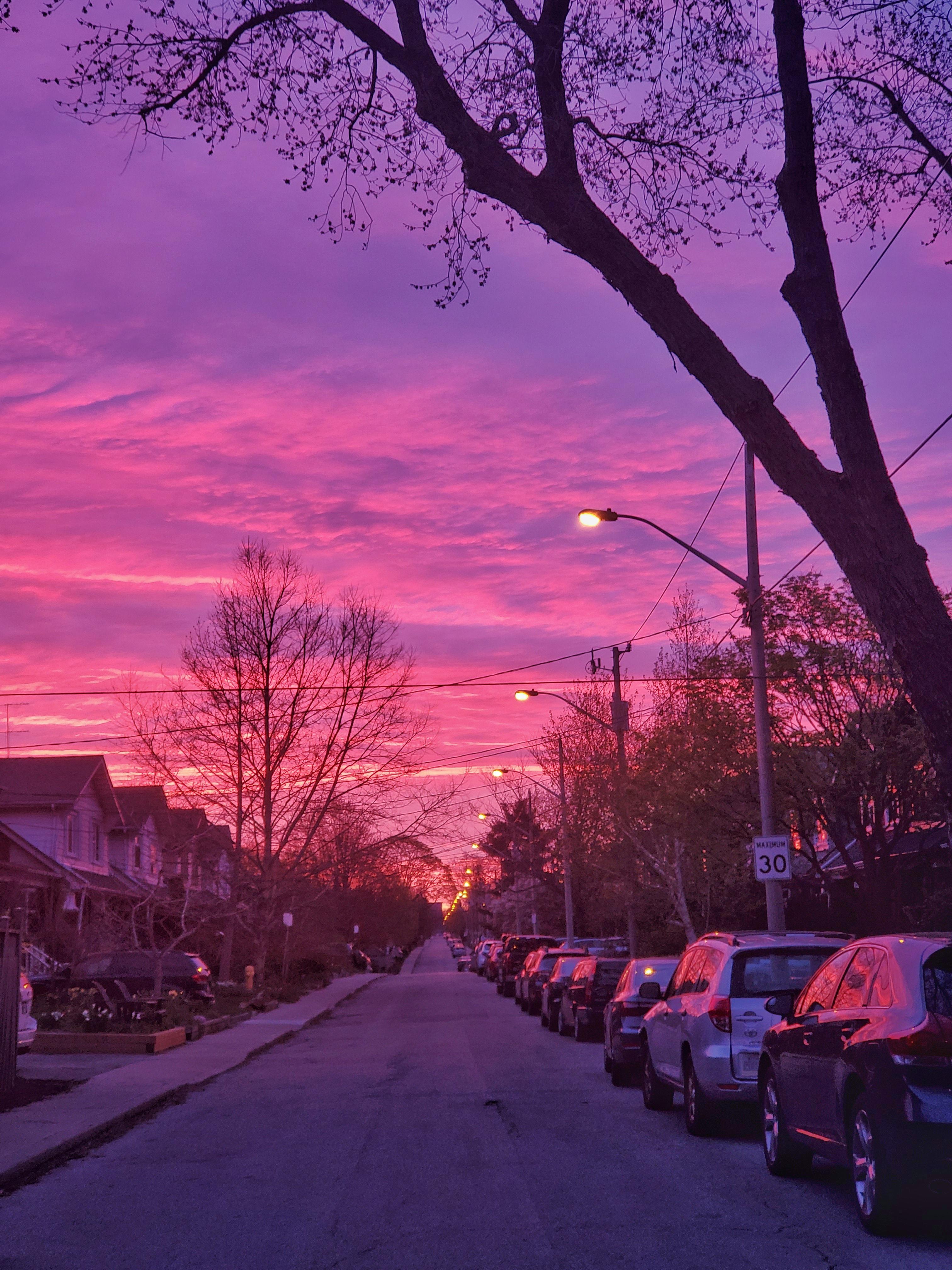 This morning in East York. r/toronto