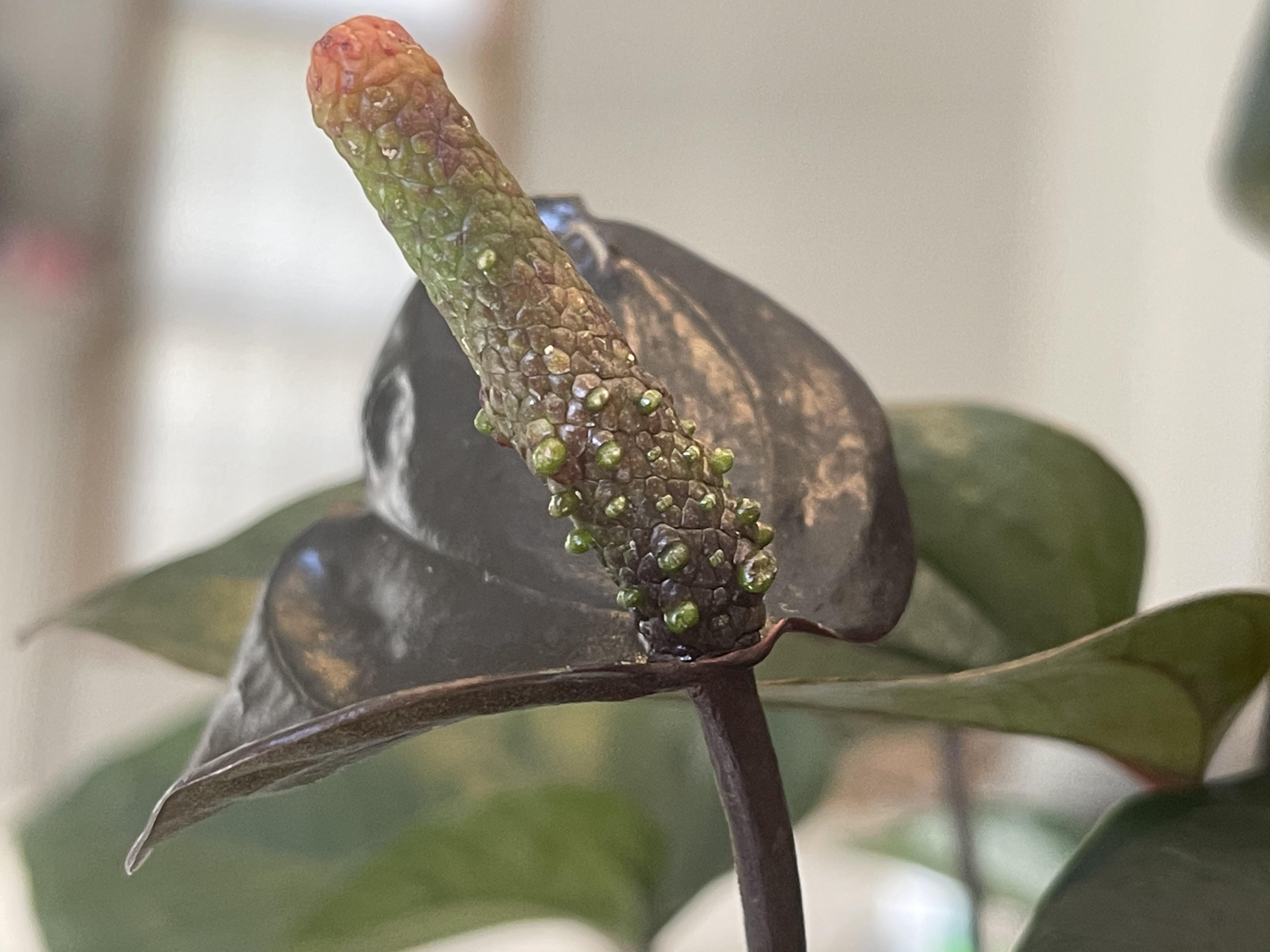 Posts by u/PhilODendron ・ popular.pics ・ Viewer for Reddit