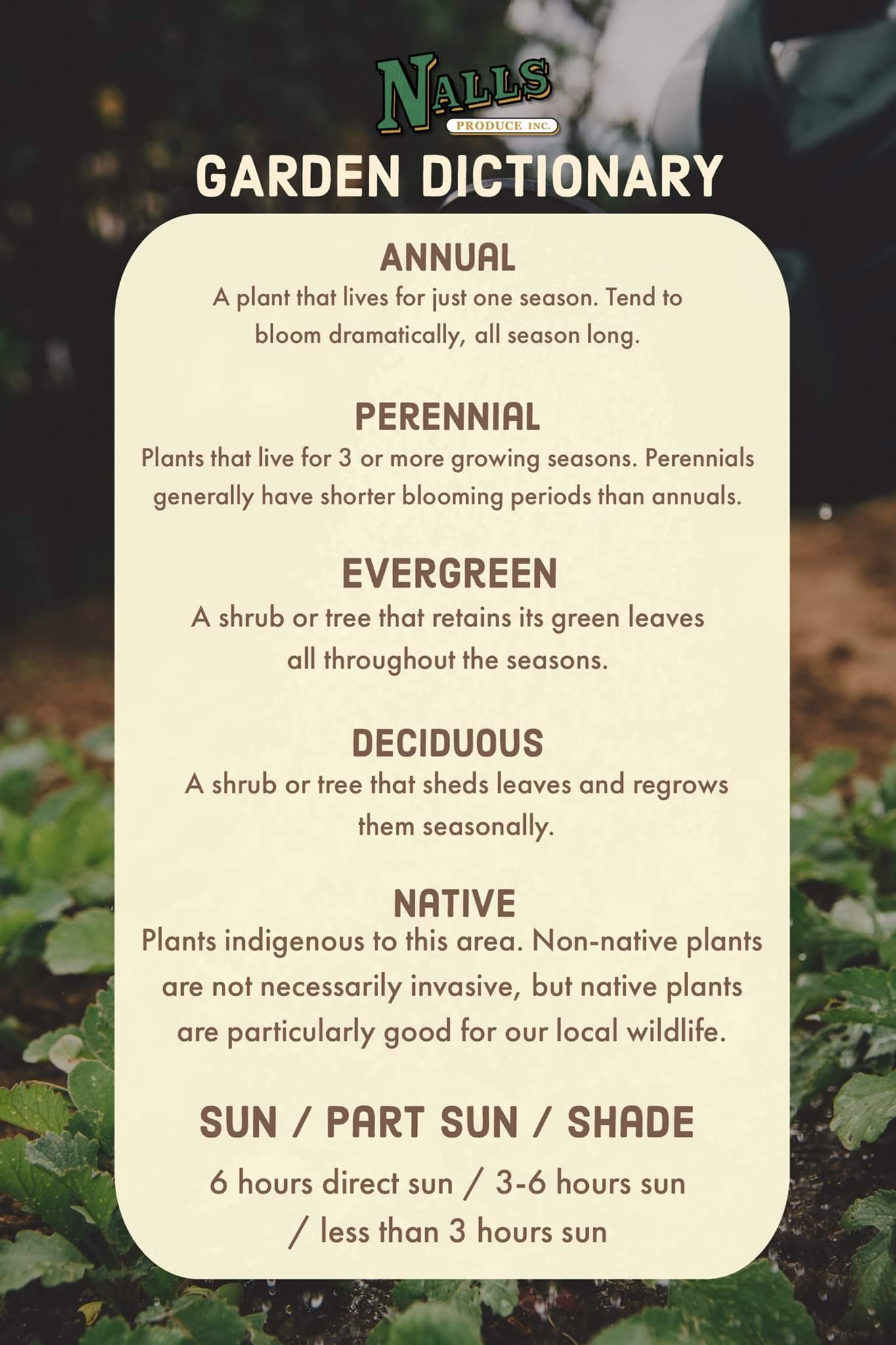 Garden Dictionary r/Interesting_Shit