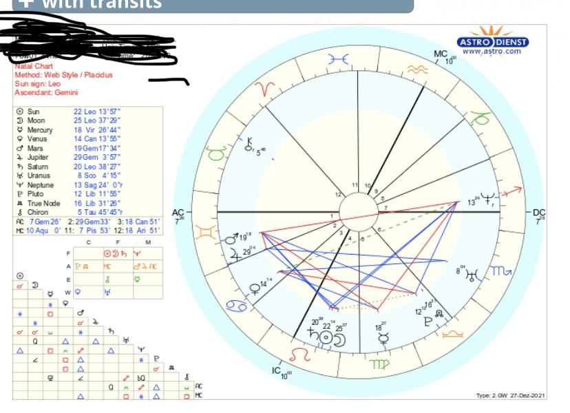 Wondering what Neptune in my 7th house of Sagittarius means in my chart