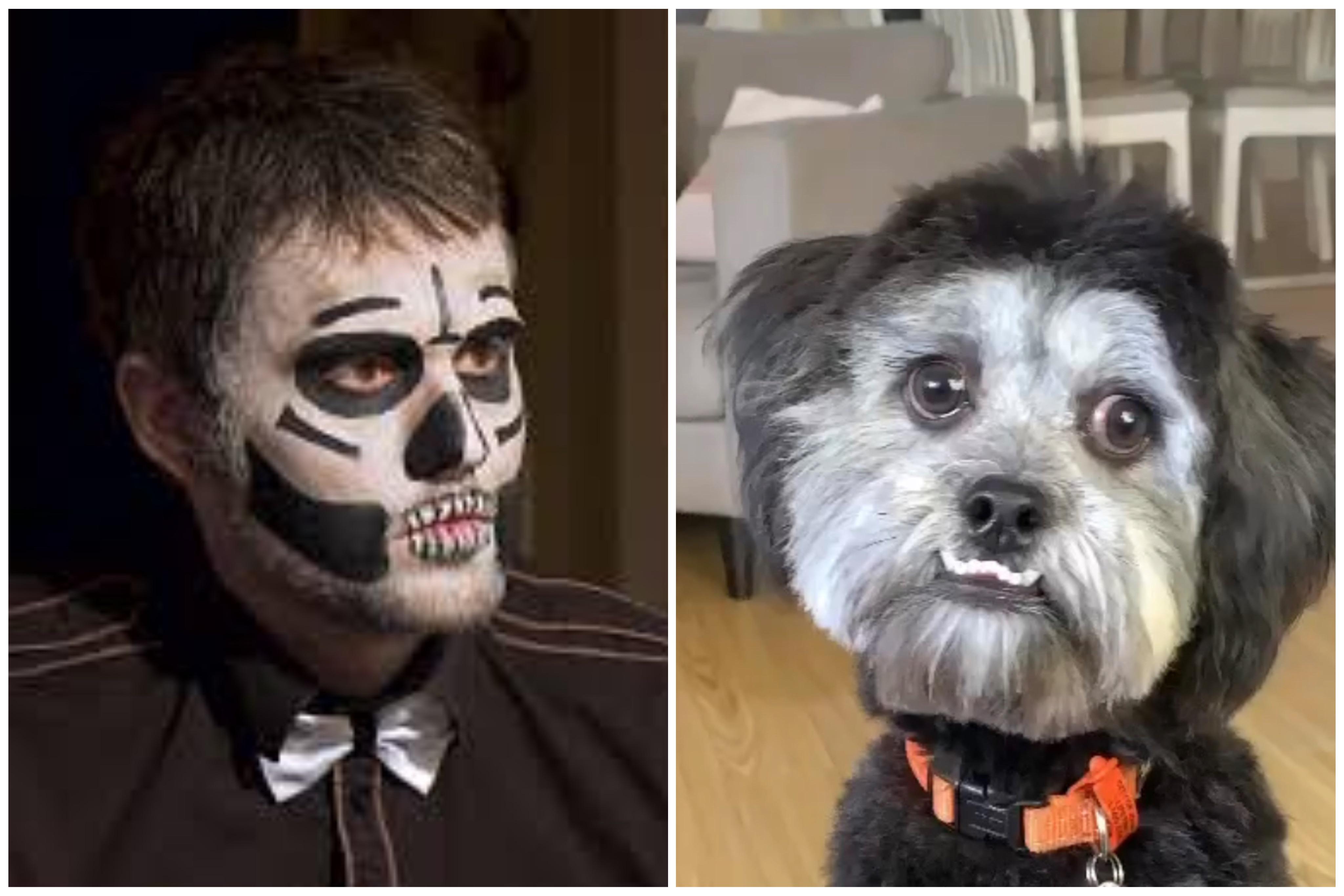 Not my dog giving me “Why didn’t you wait on me, Bentley?” vibes r