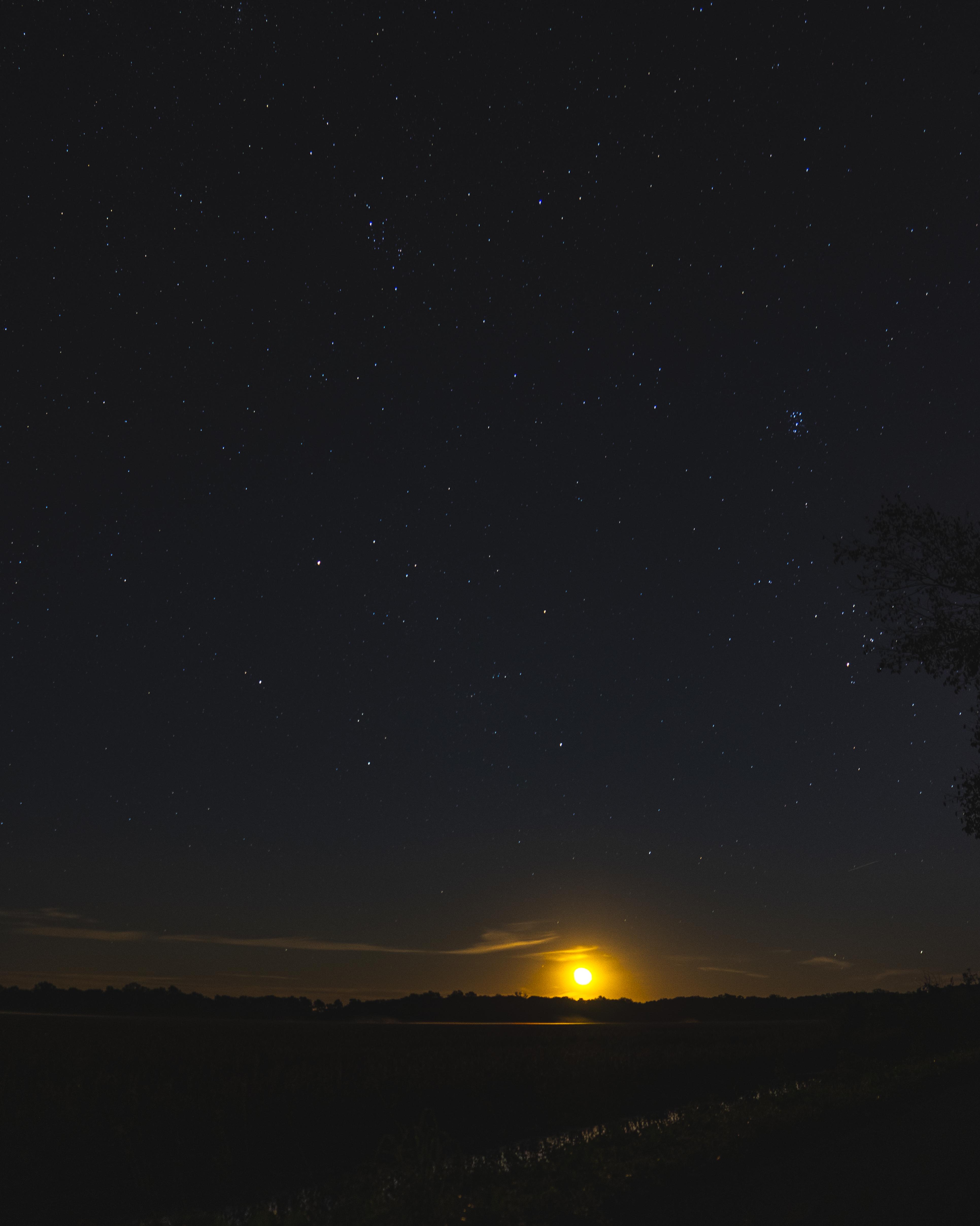 Here's another pic from MeemanShelby forest memphis