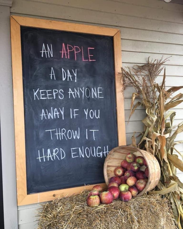 List 96+ Images Is Throwing An Apple Core Out The Window Littering Updated