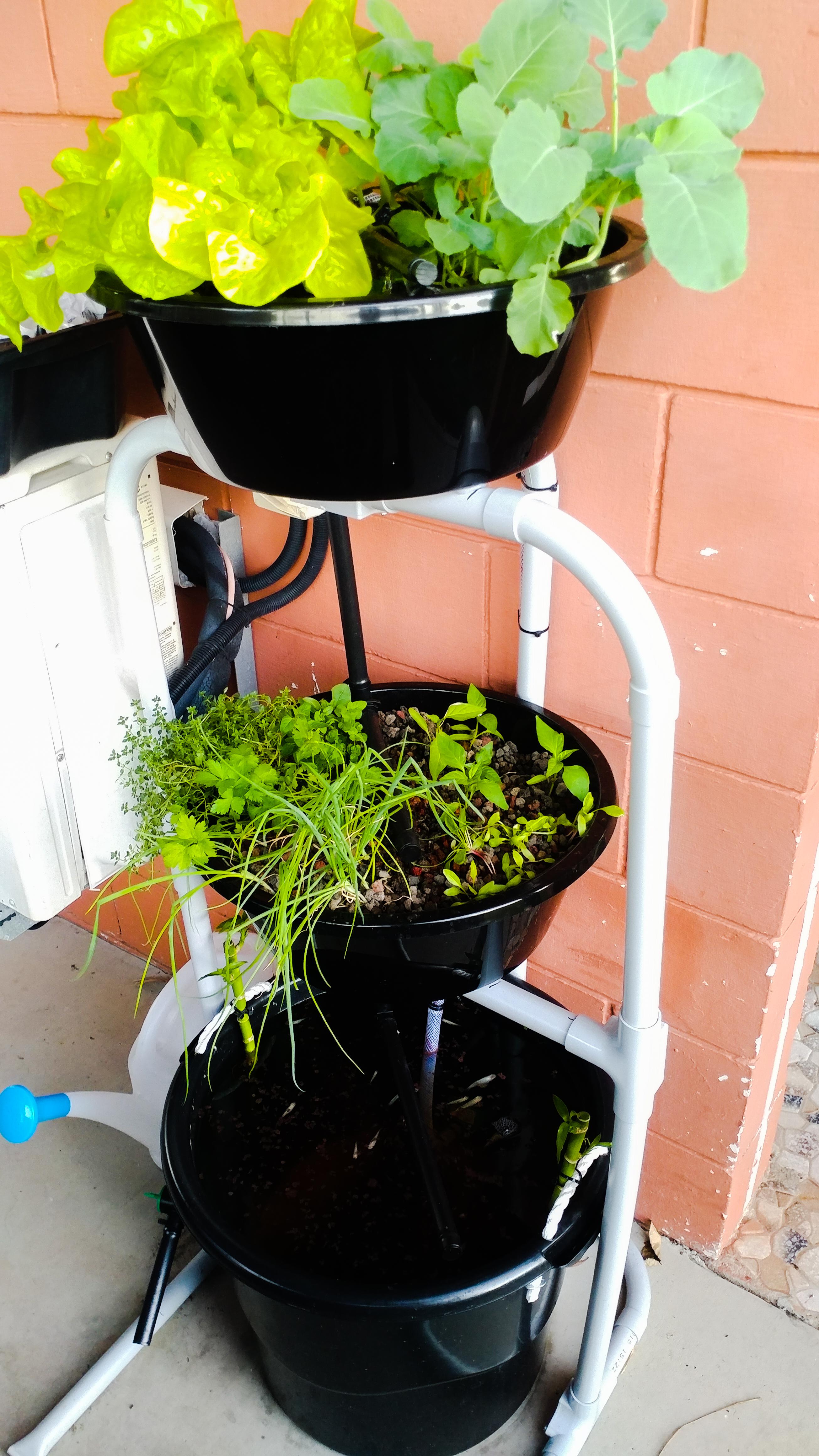 Here is my mini Aquaponics setup r/aquaponics