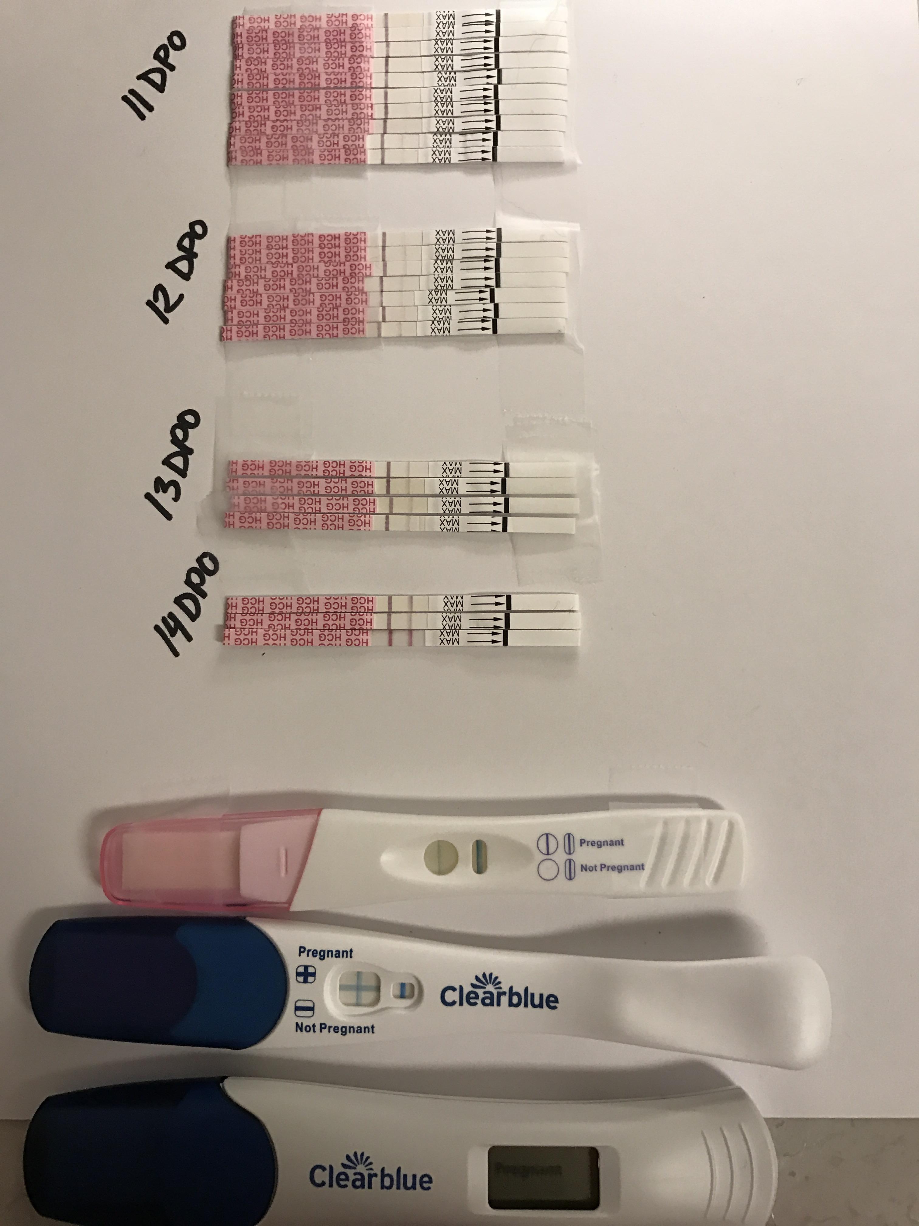 Pregnancy Test Progression By Dpo pregnancy test