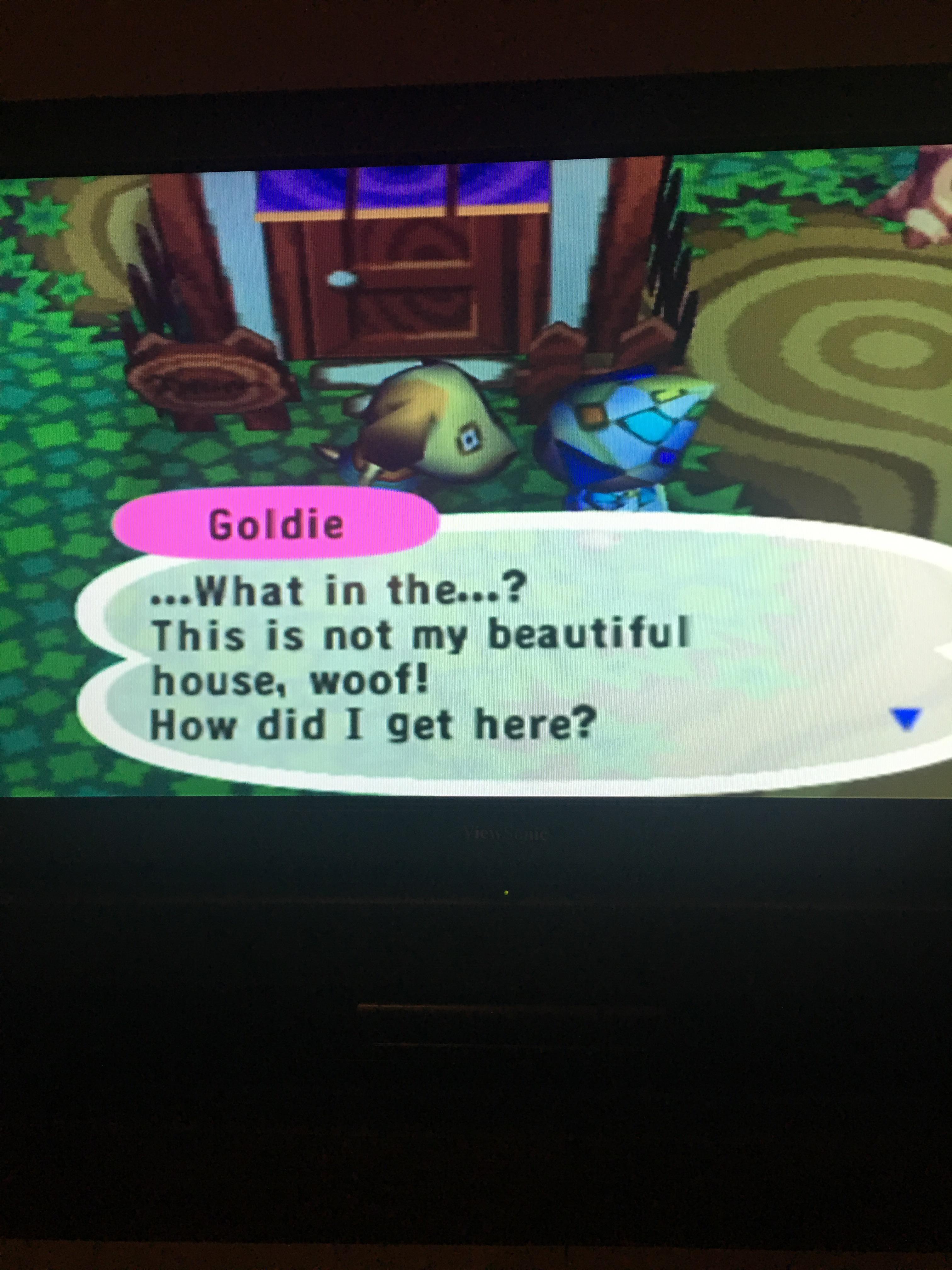 🎶Once in a lifetime, water flowing underground 🎶 r/AnimalCrossing