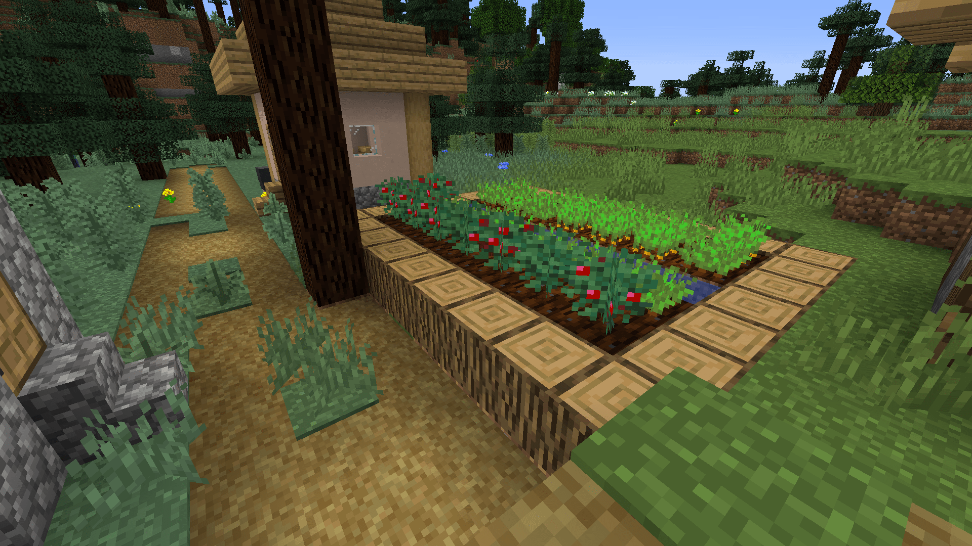 Berry bushes can be placed on farmland r/Minecraft