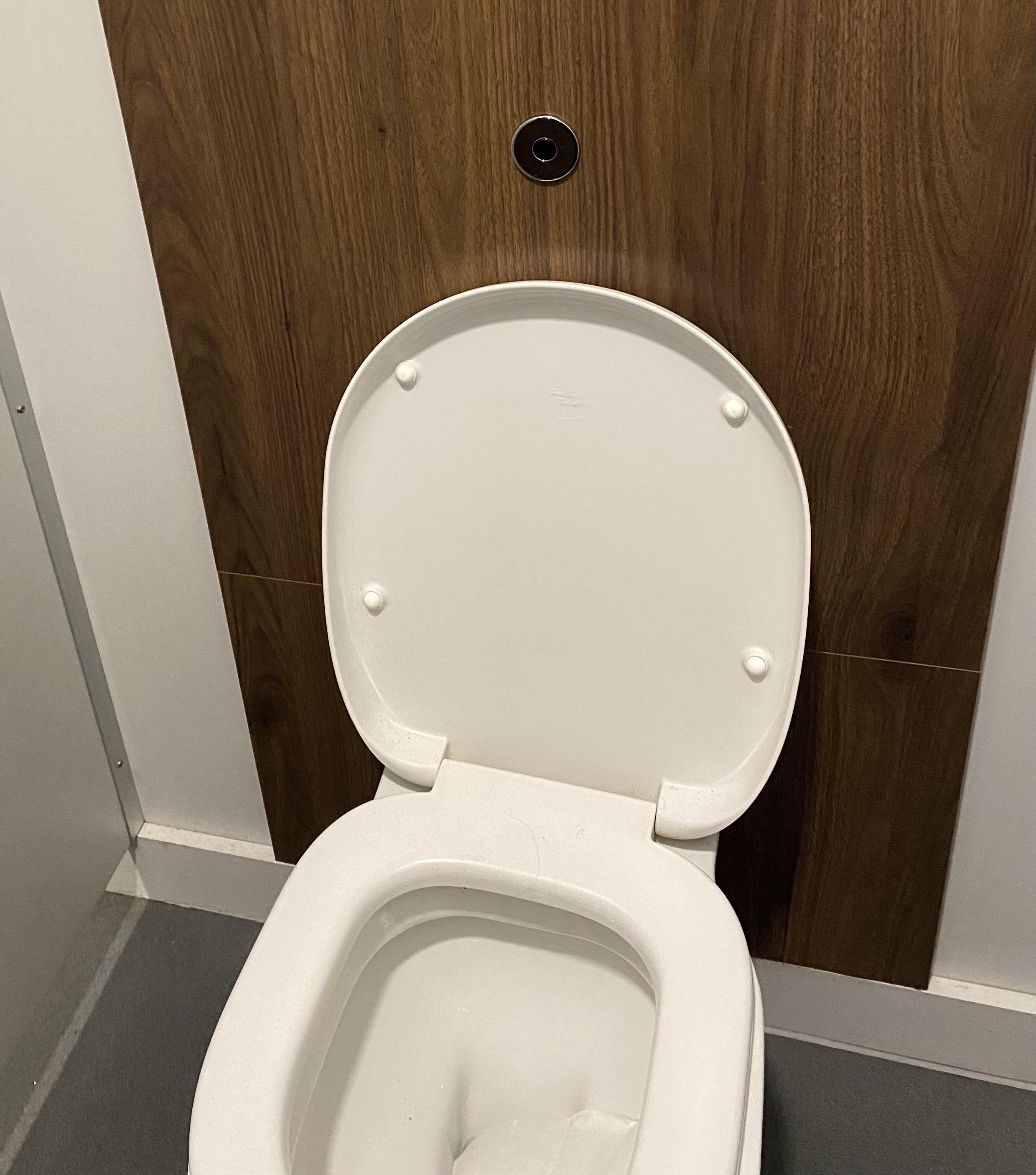 The position of this notouch flush button means it flushes whilst you