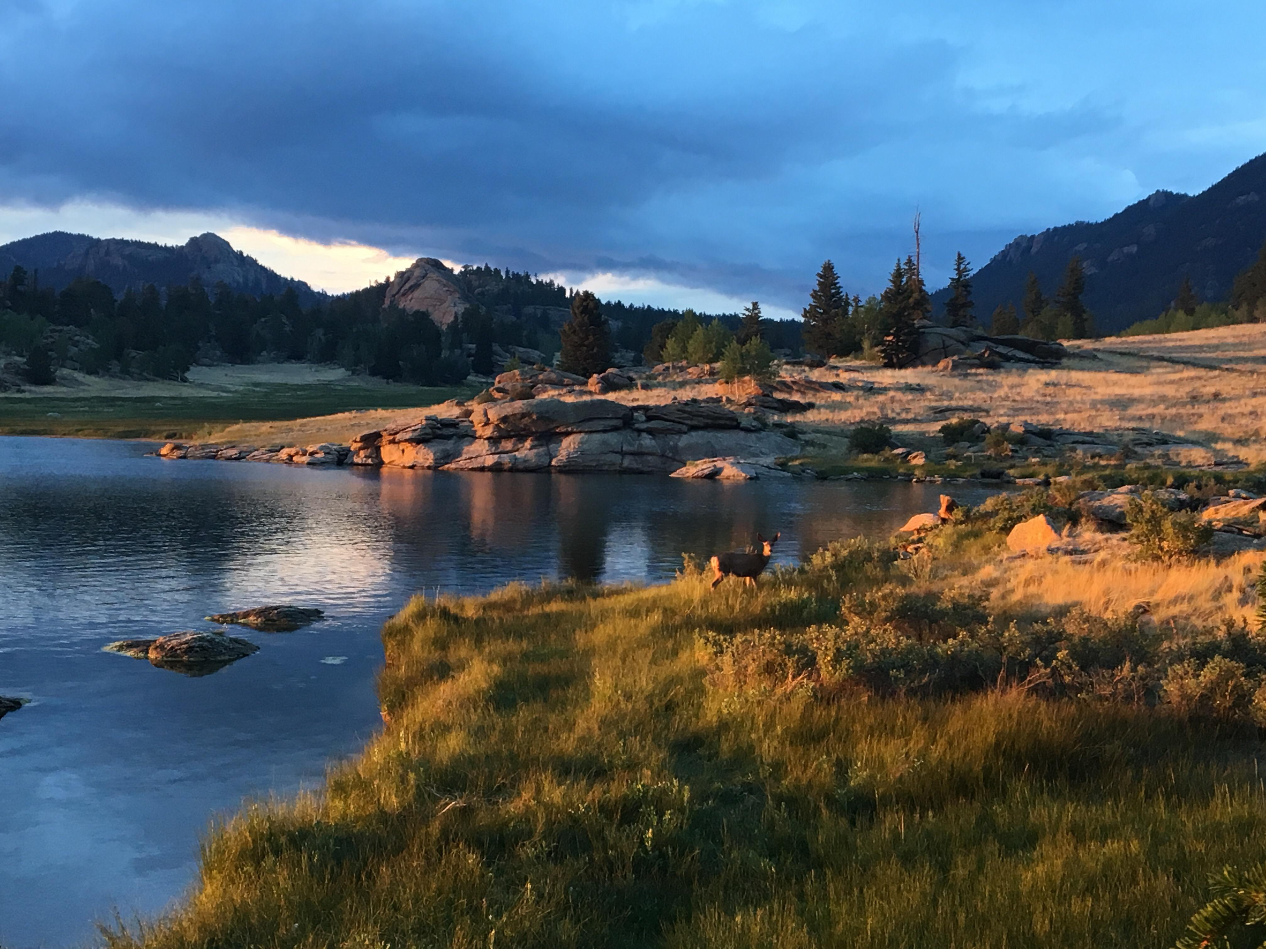 Eleven Mile State Park r/Colorado
