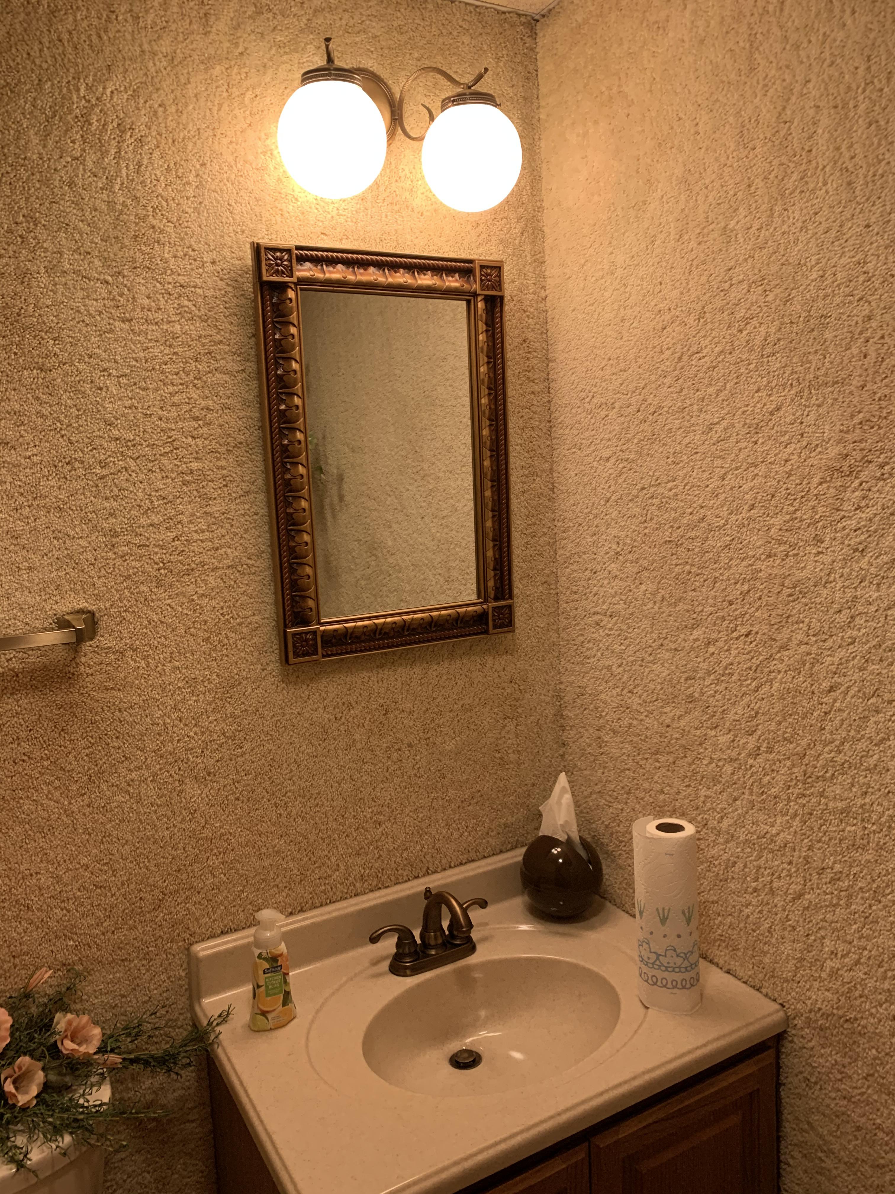 Saw the last carpet in the bathroom so I raise you CARPET WALL BATHROOM