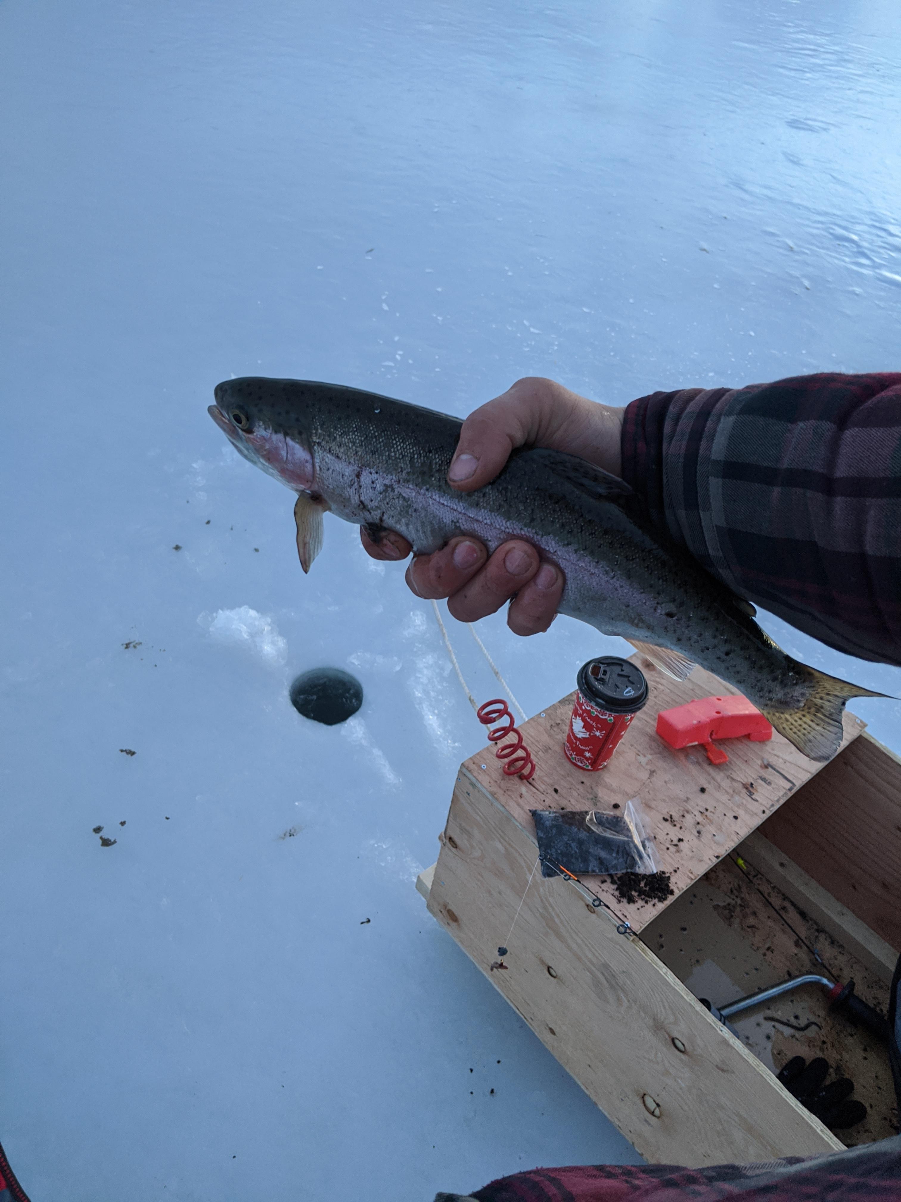 Oh how I love trout through the ice r/Fishing