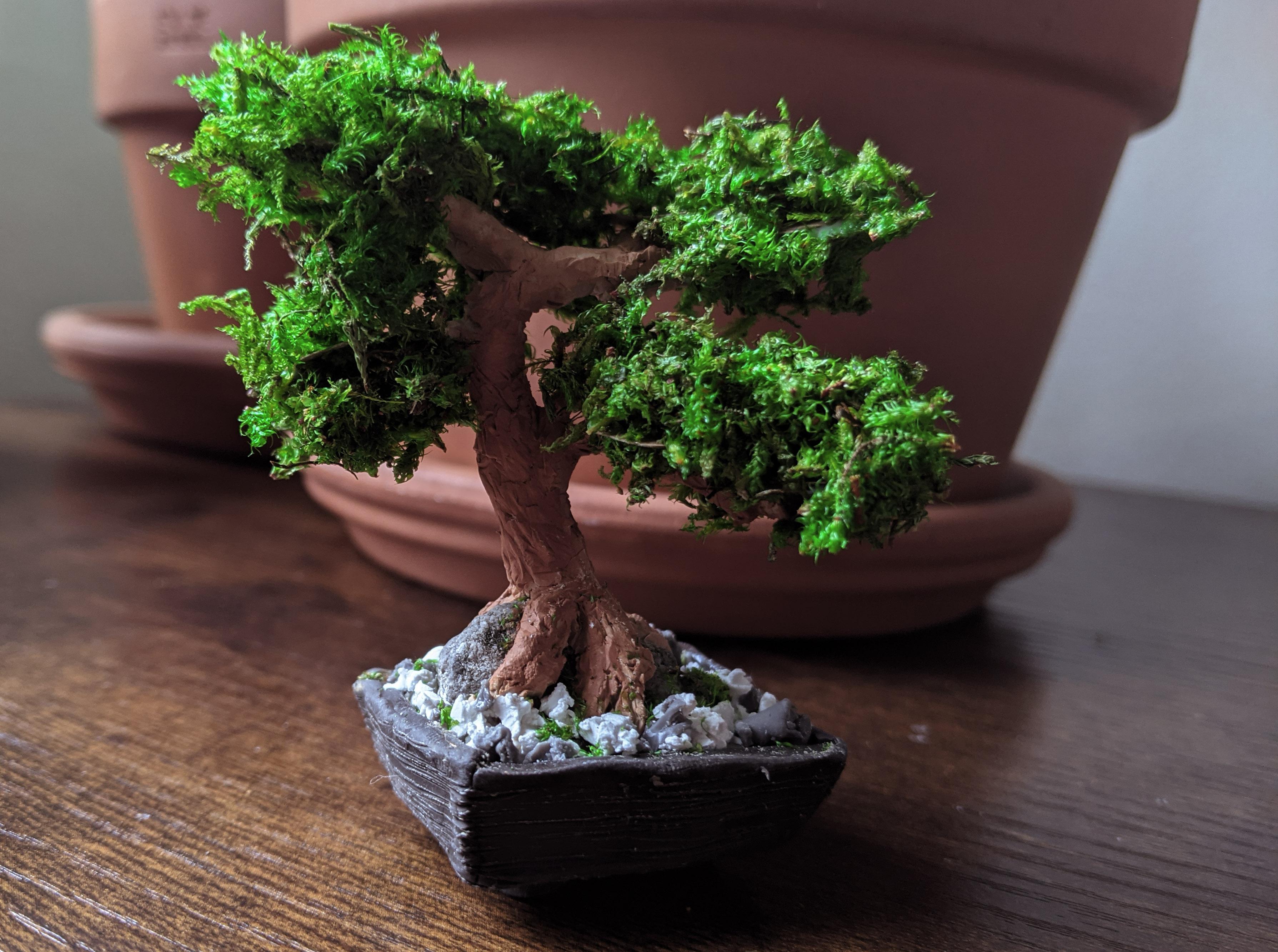 I made a bonsai tree today! r/polymerclay