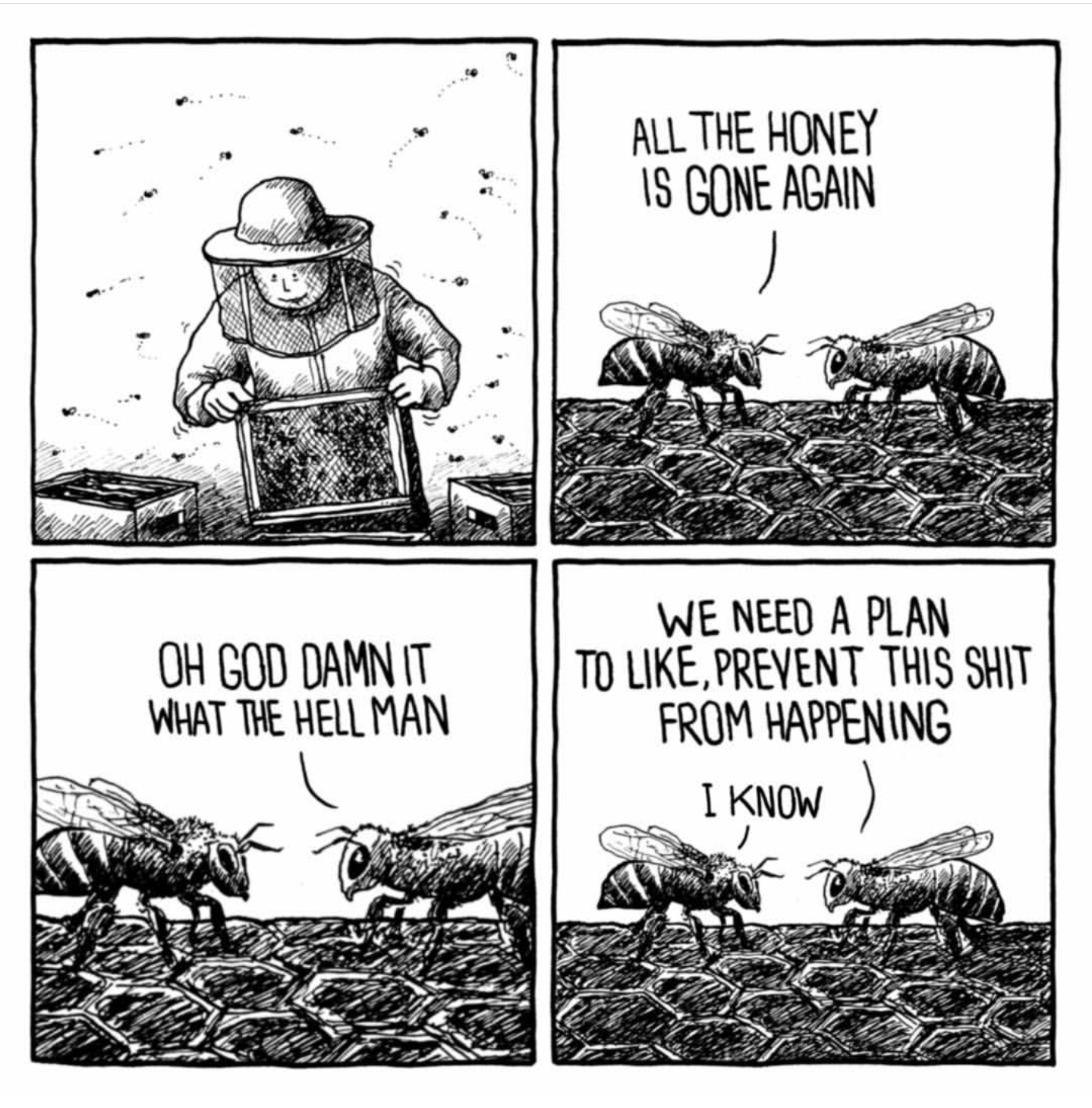 Is there even a punchline?