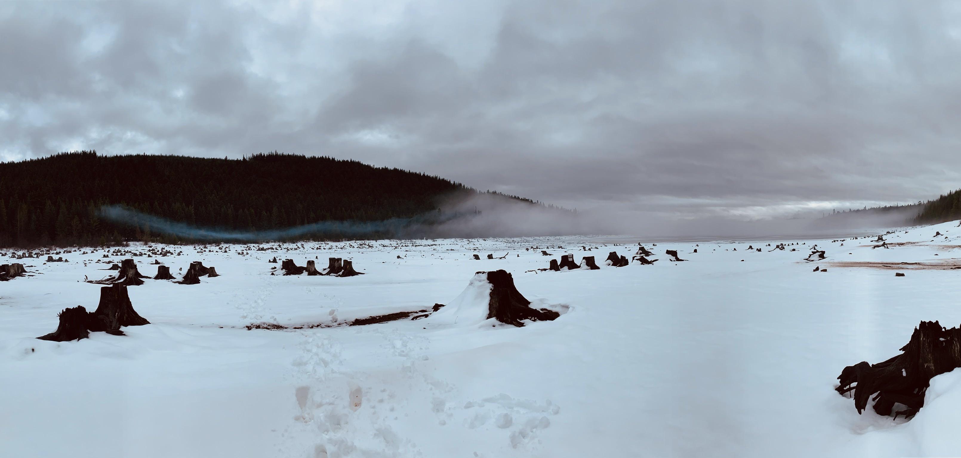 One winter morning at Clear Lake, Mt. Hood National Forest, OR. [OC