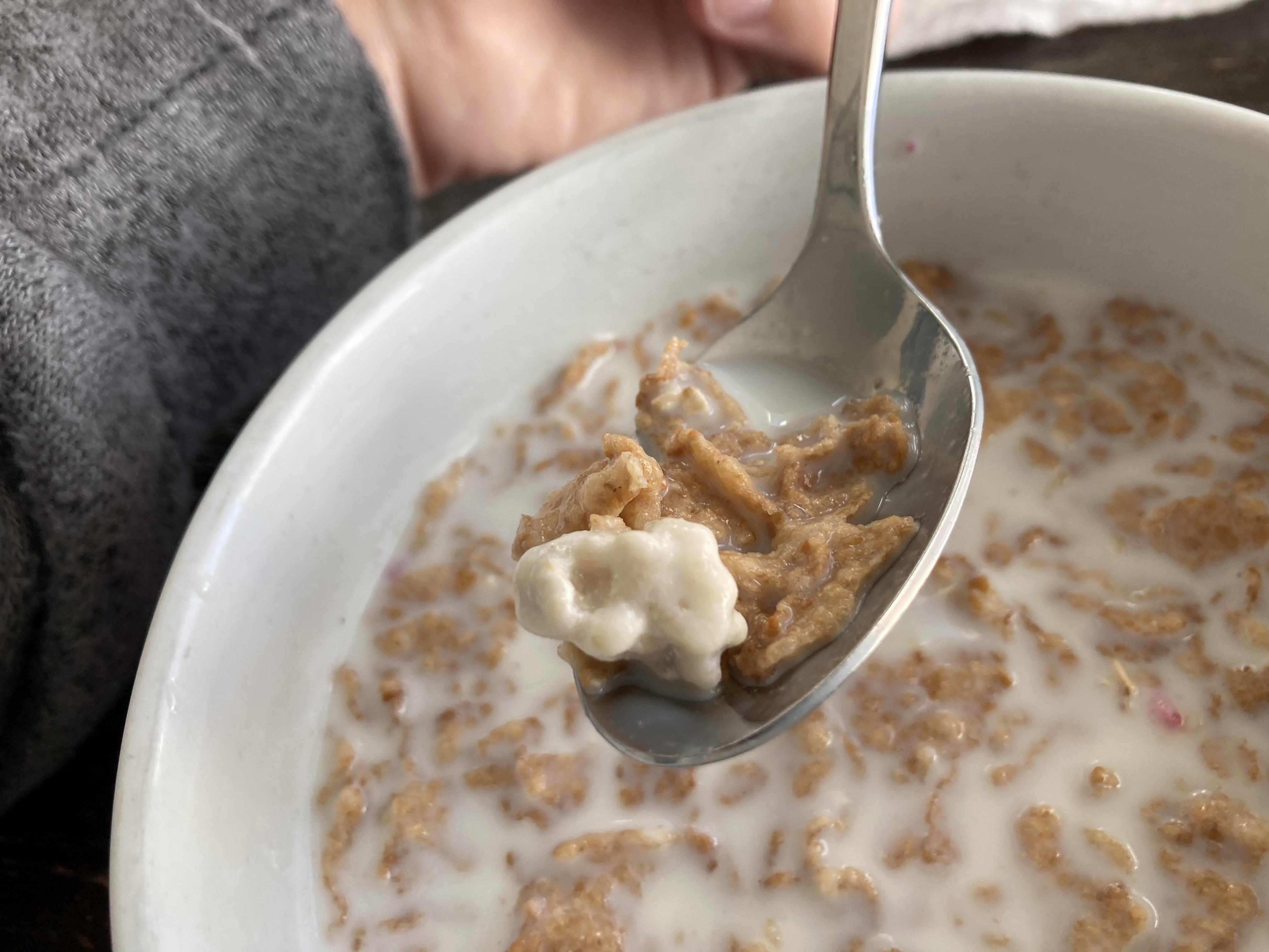 I hate how the yogurt clusters in my cereal look like huge tonsil
