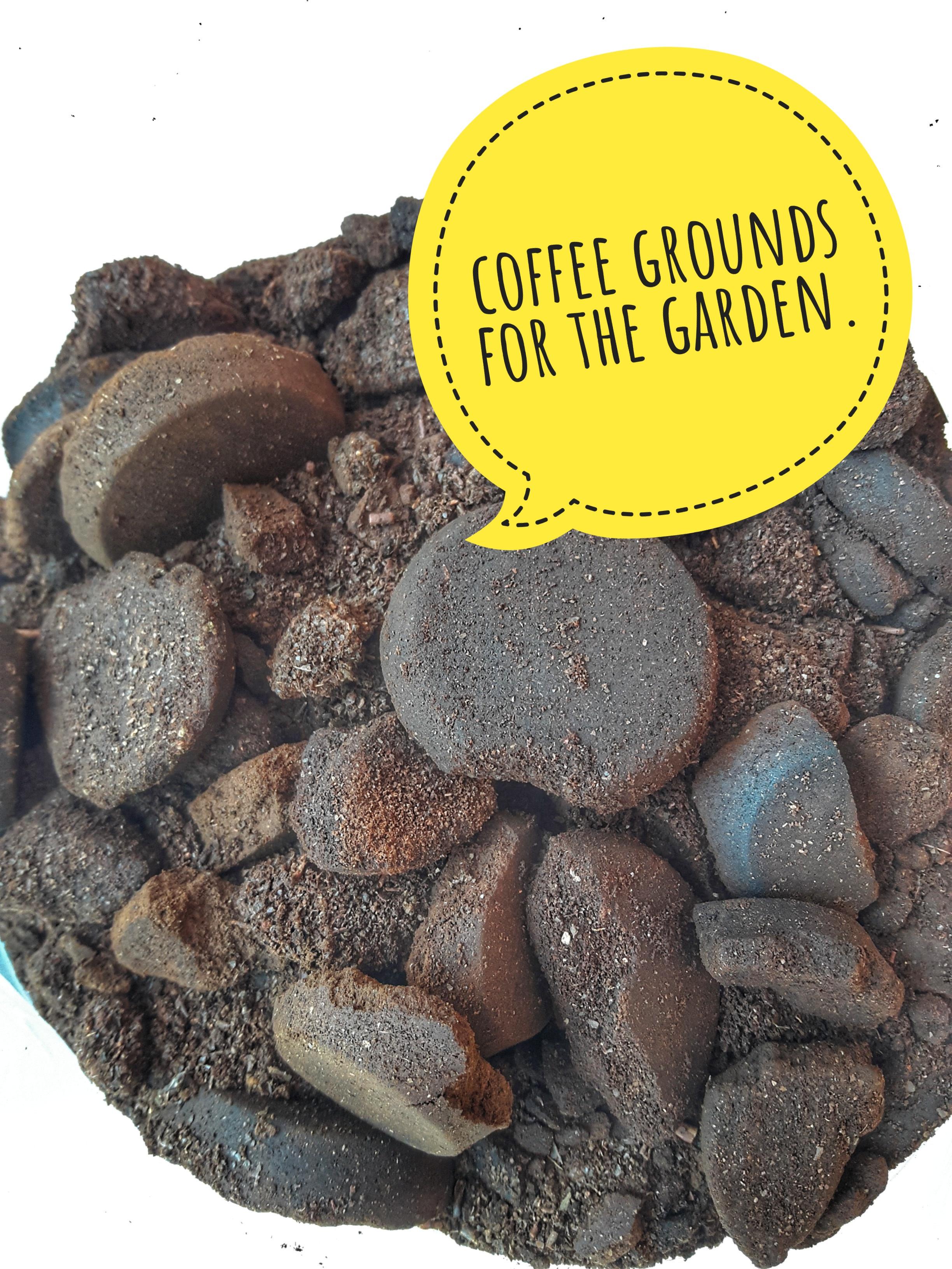 I get coffee grounds for free from my local coffee shop and I have been