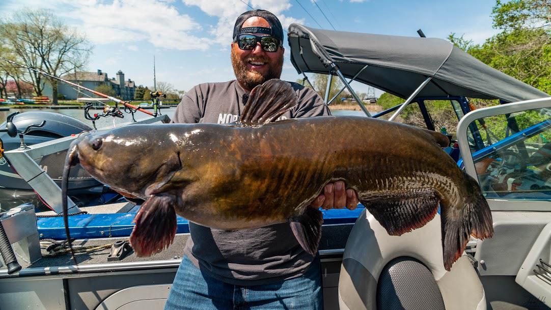 New Personal Best Channel Catfish 38 x 23.5 27lbs 2 oz r/catfishing
