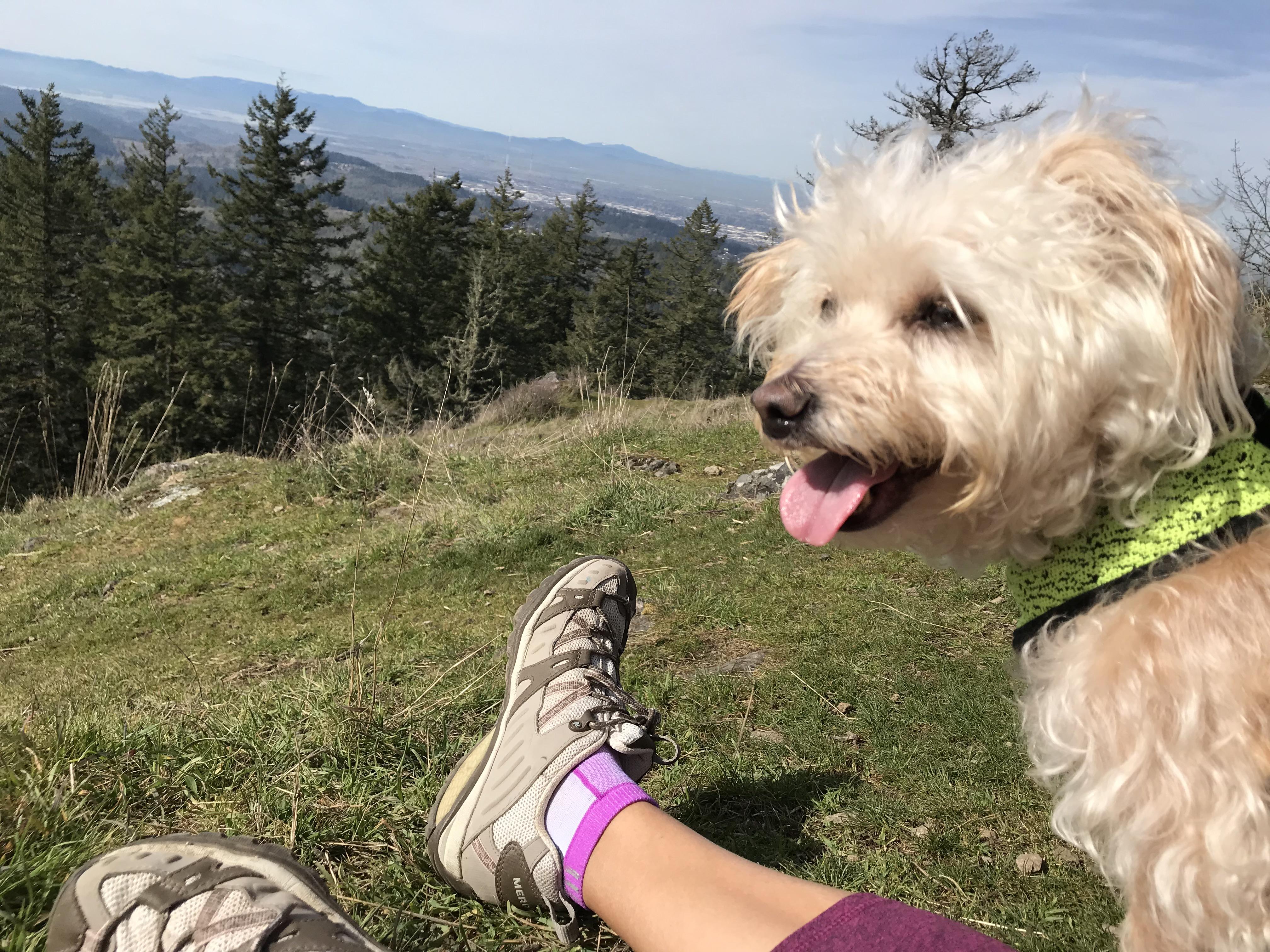 Spencer butte summit , Spencer butte park. Eugene Oregon . A beautiful