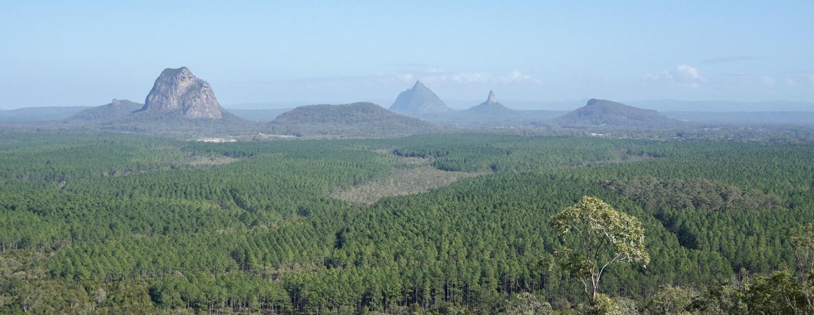 Glasshouse mountains from Wild Horse lookout this morning r/brisbane
