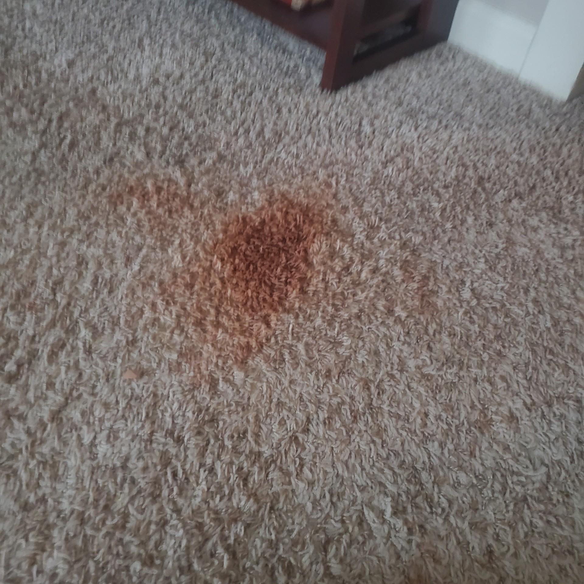 Dropped a chunk of essence pure nude highlighter and it melted into the