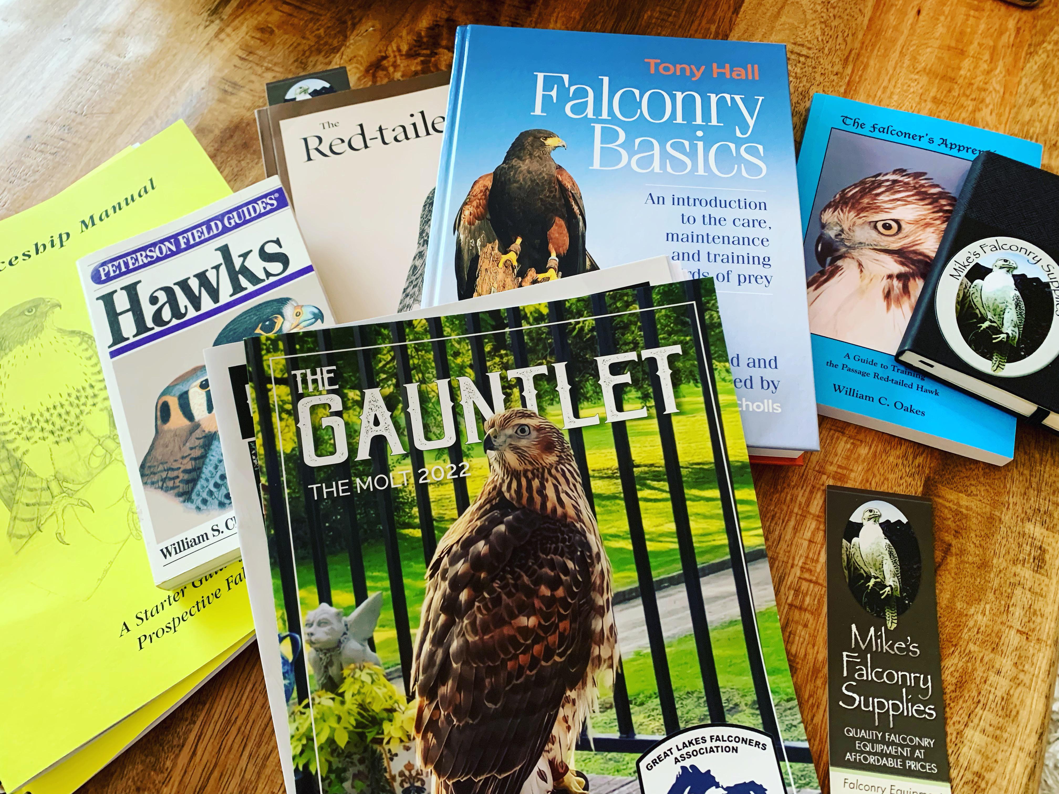 Anyone from central Illinois? r/Falconry