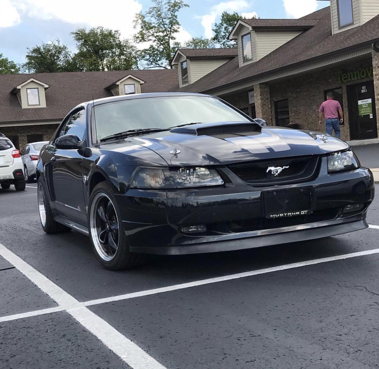 My 2004 Mustang GT 40th Anniversary : r/carporn