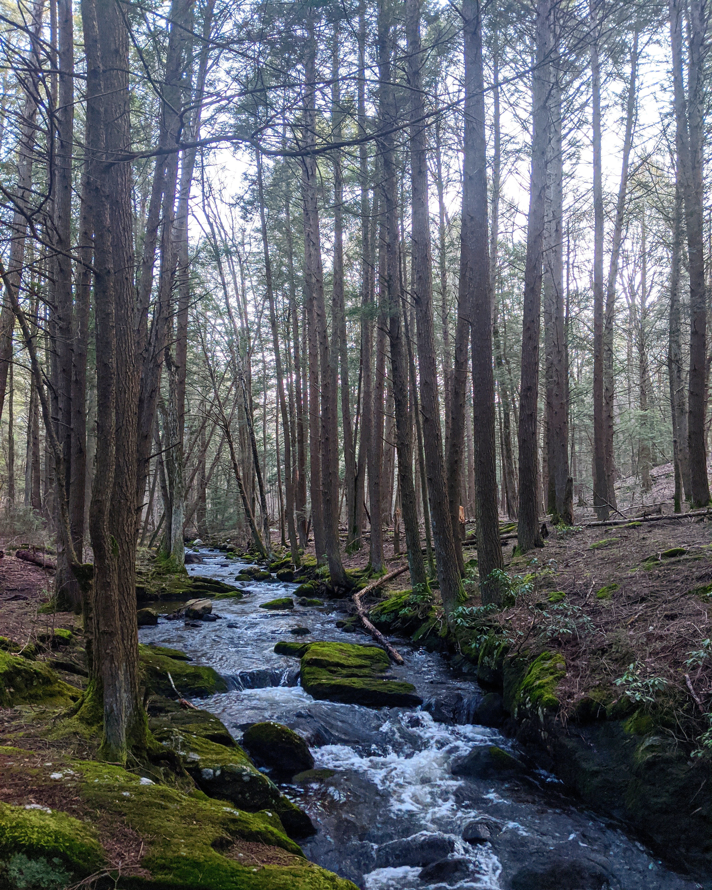 The Mad River in Wolcott Connecticut