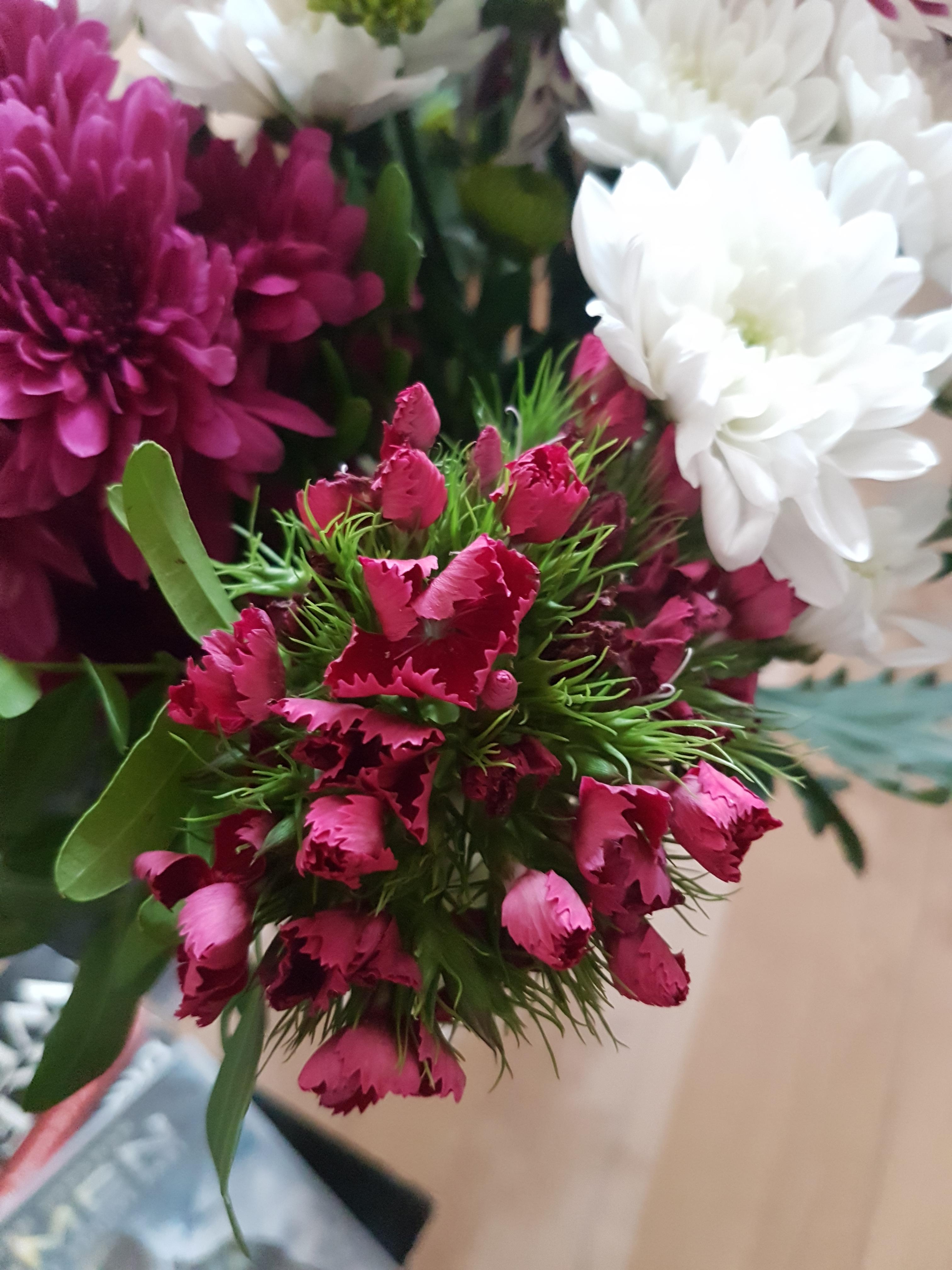 Came in bouquet of cut flowers in the UK, haven't seen anything like it