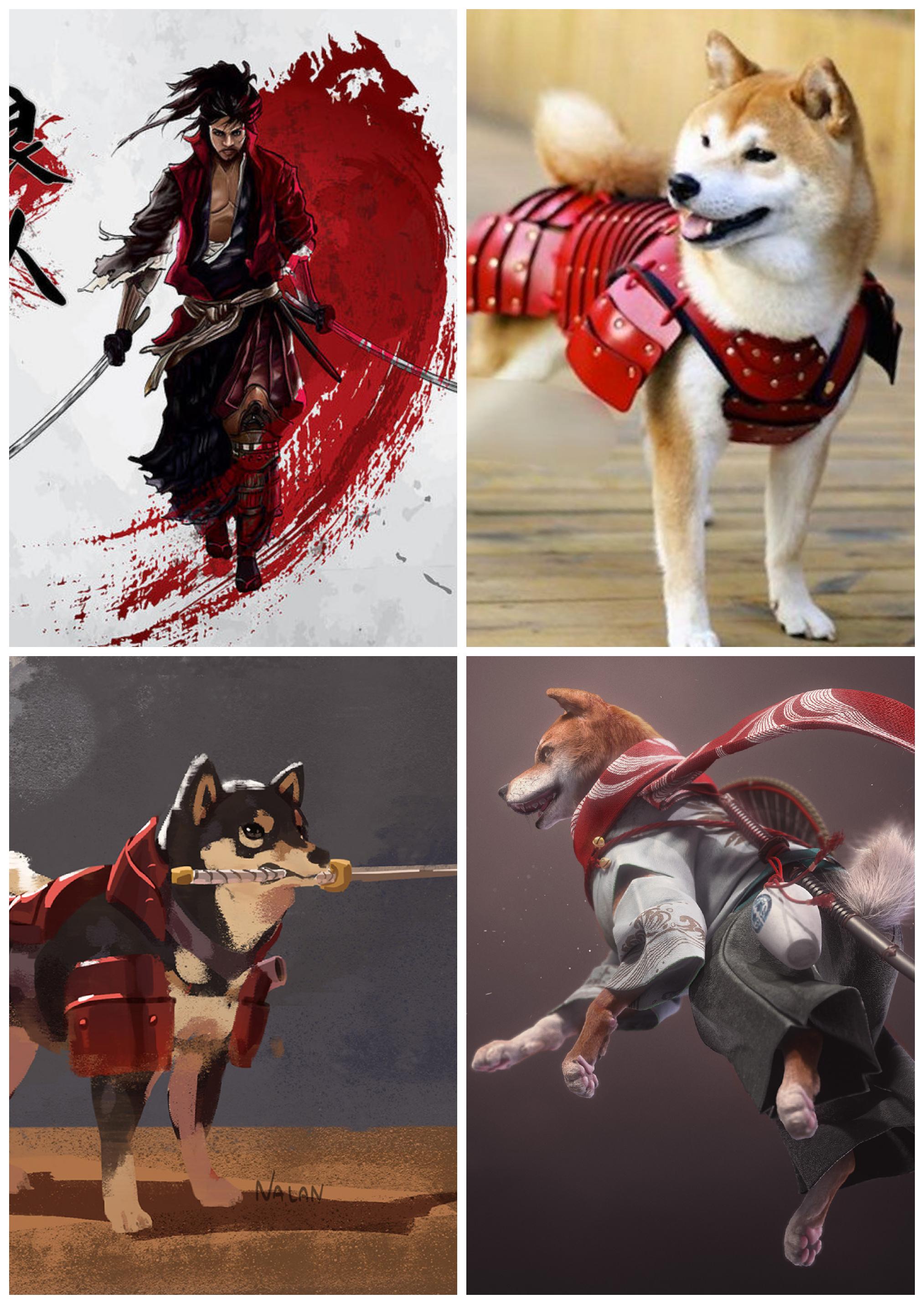 [LFA] Ronin, ShibaInu Rogue Samurai (NOT ANTHROMORPHIC