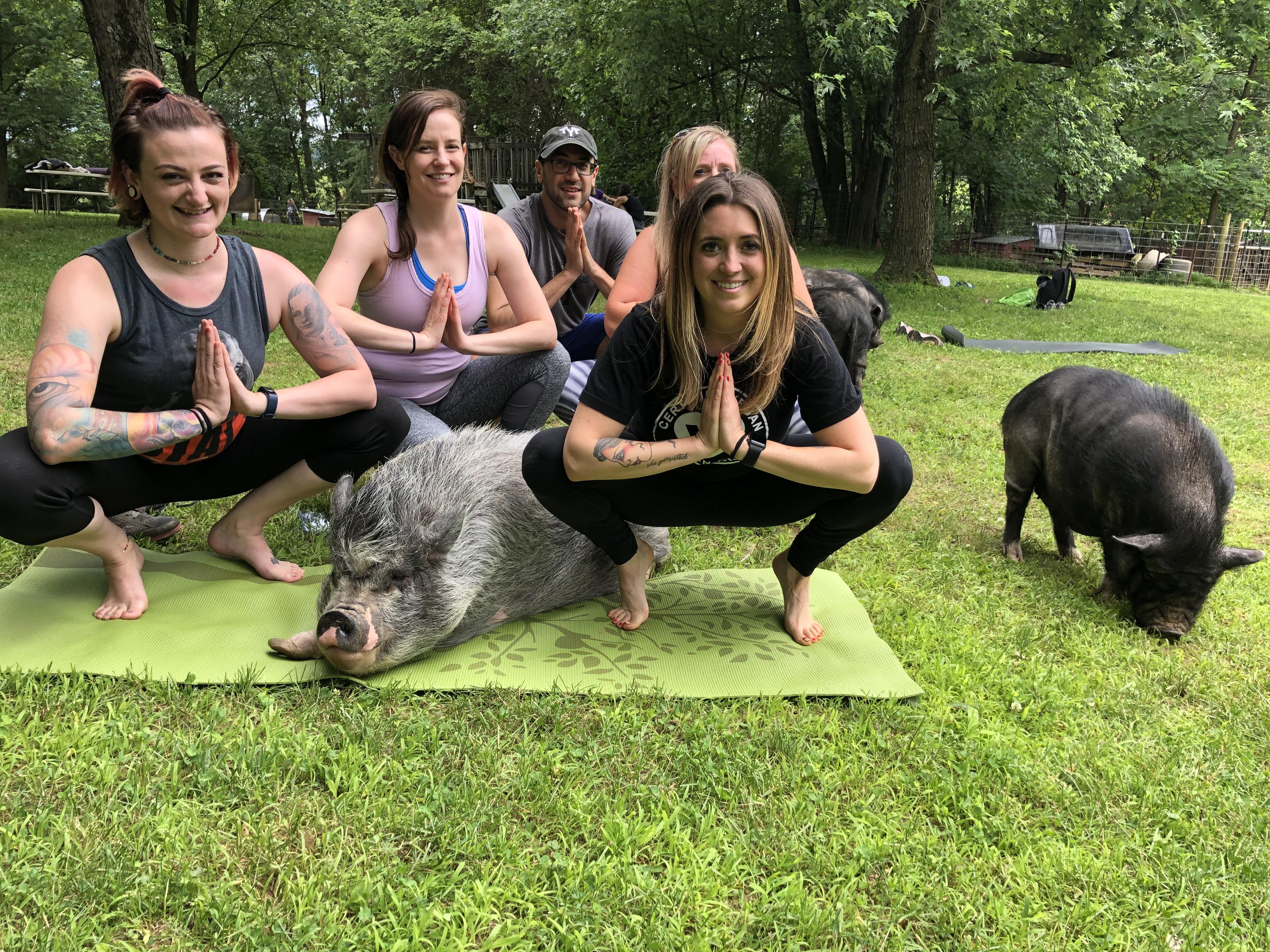 Pig yoga someone stayed in savasana the whole class) r/vegan