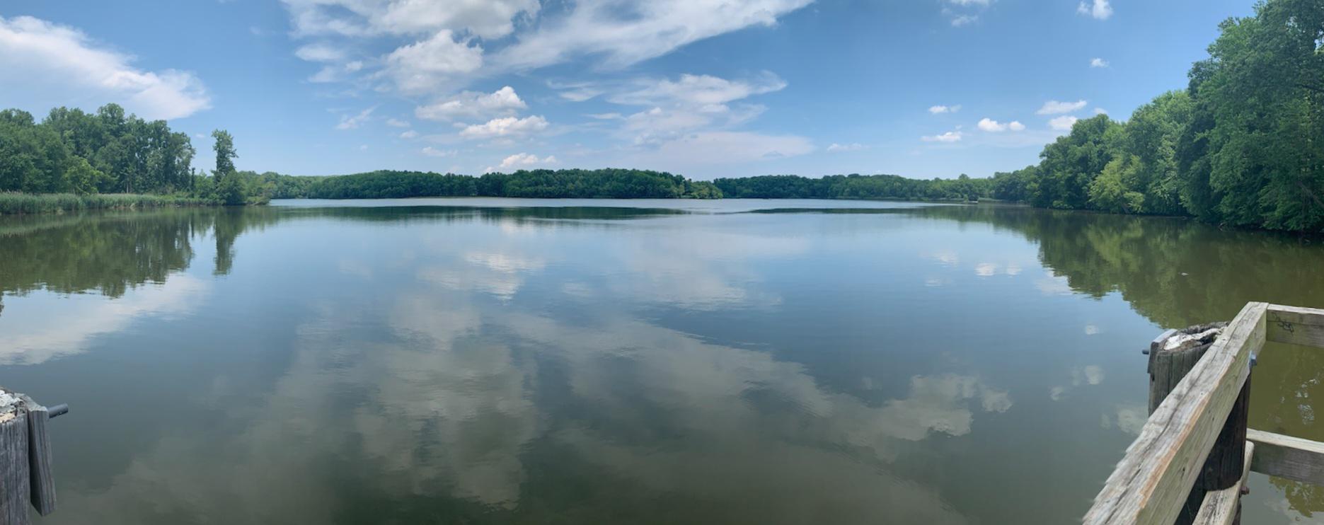 My son took this photo of Lum's Pond Delaware