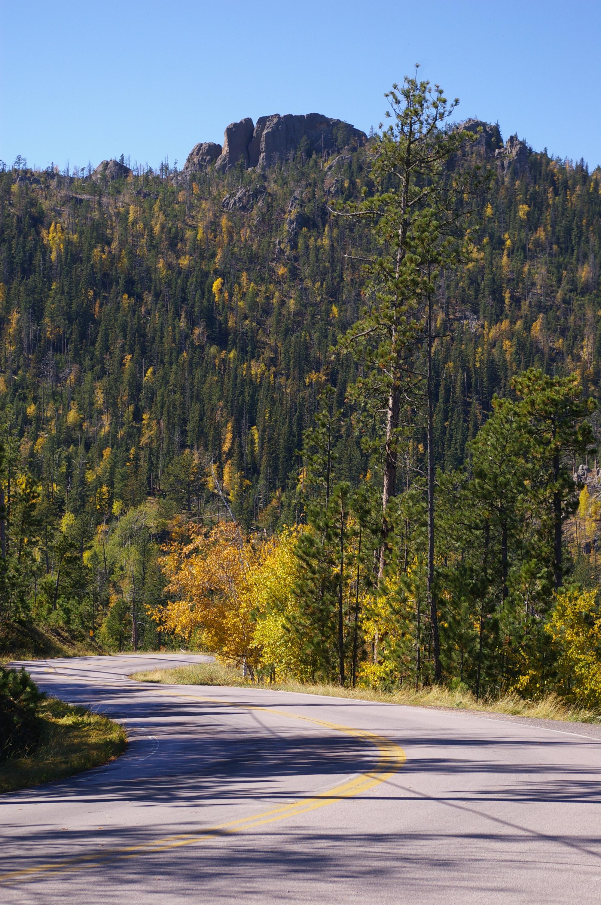 Road to Mount Rushmore r/naturepics