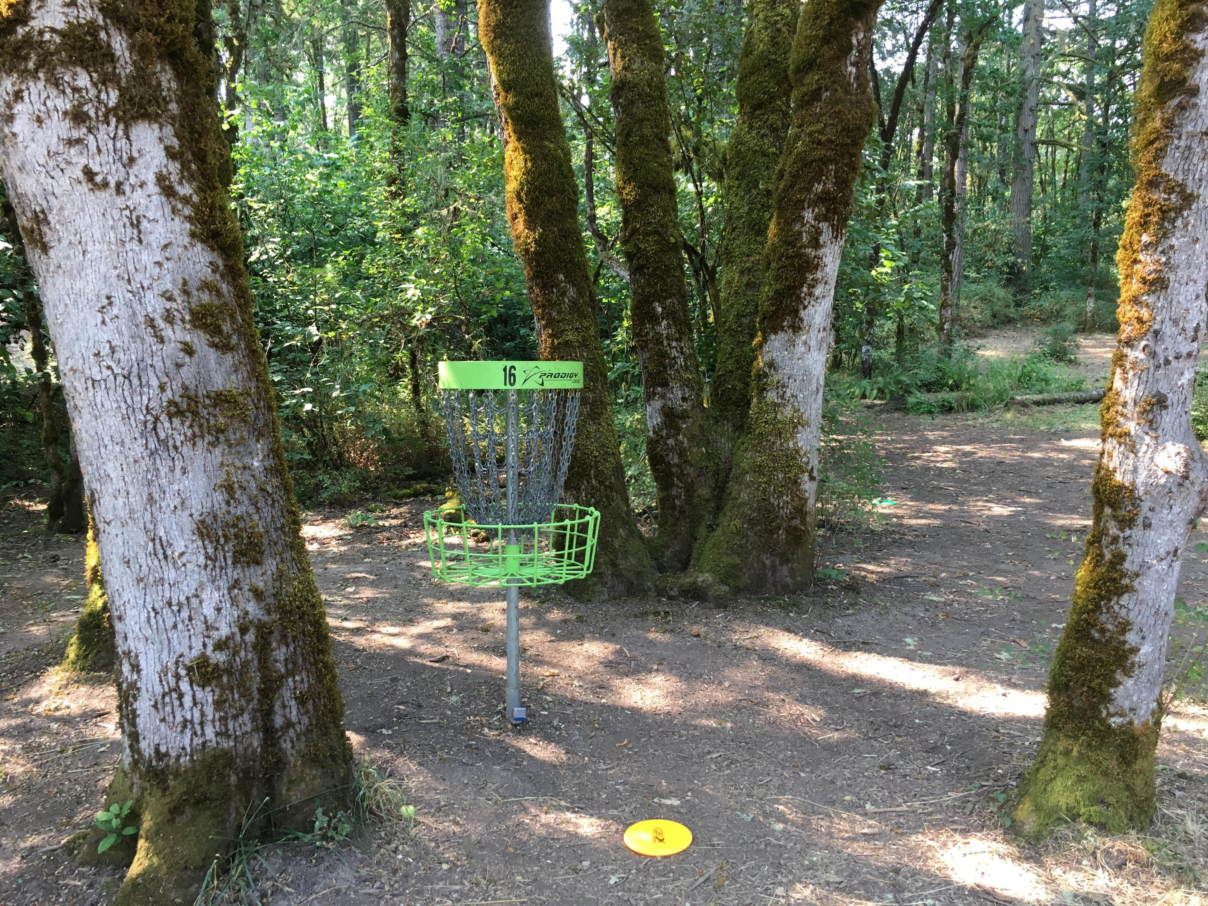 Every few years, I make a trip back to Oregon to play Dexter. Still my