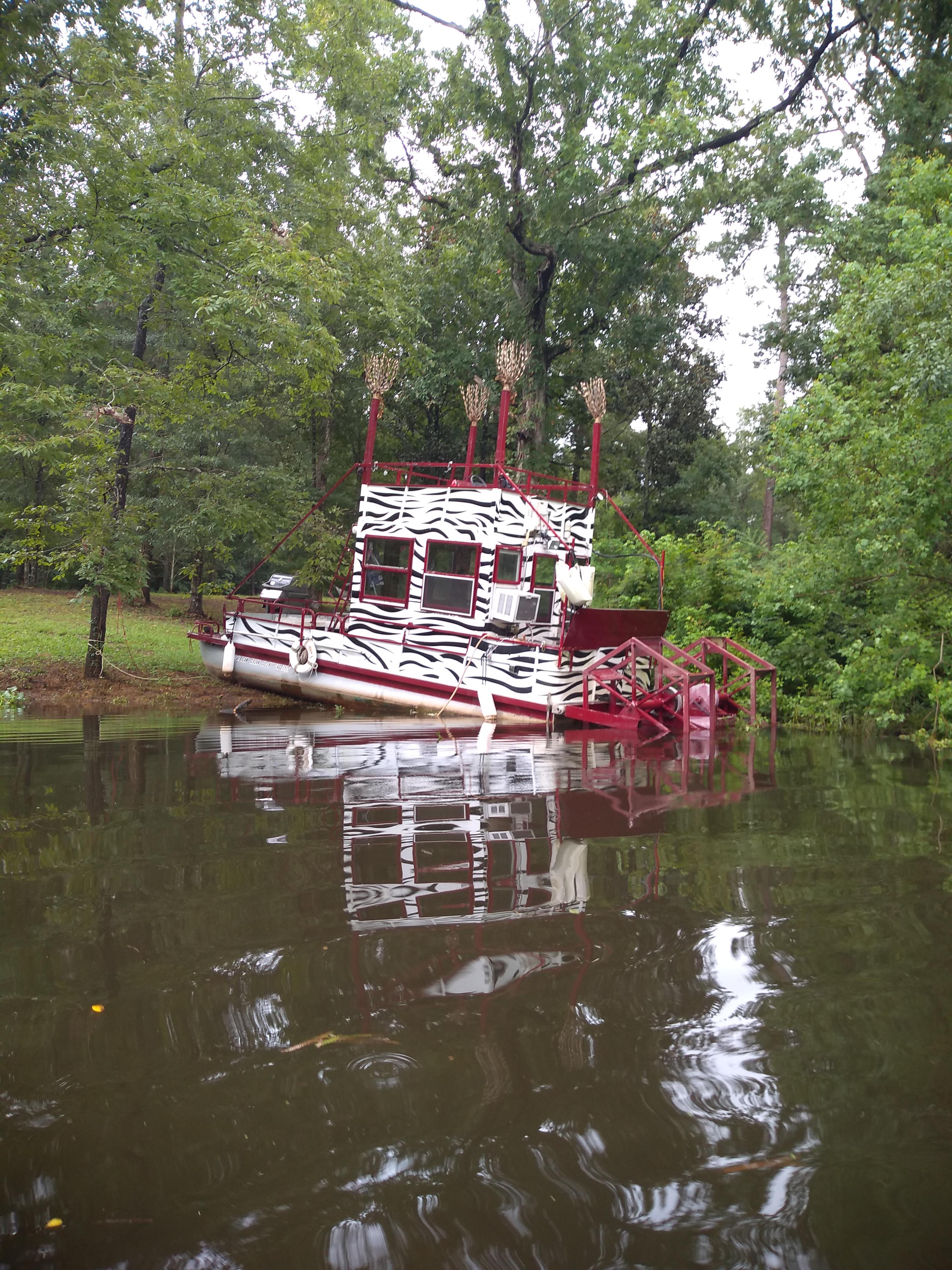 Came across this mini paddle boat on the Abita river in Louisiana. r