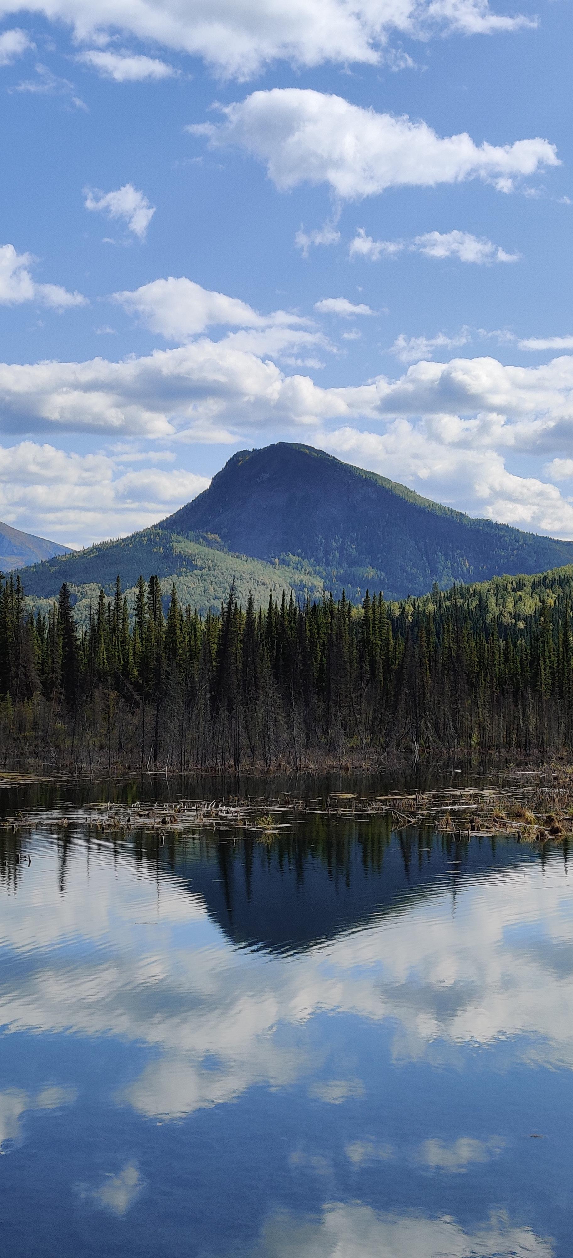 Toad River, Canada [OC] [1824×4000] r/EarthPorn