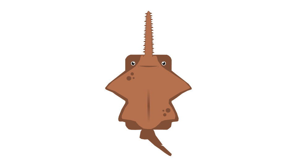 (Sawfish) Lana's Sawshark 150C r/deeeepioskins