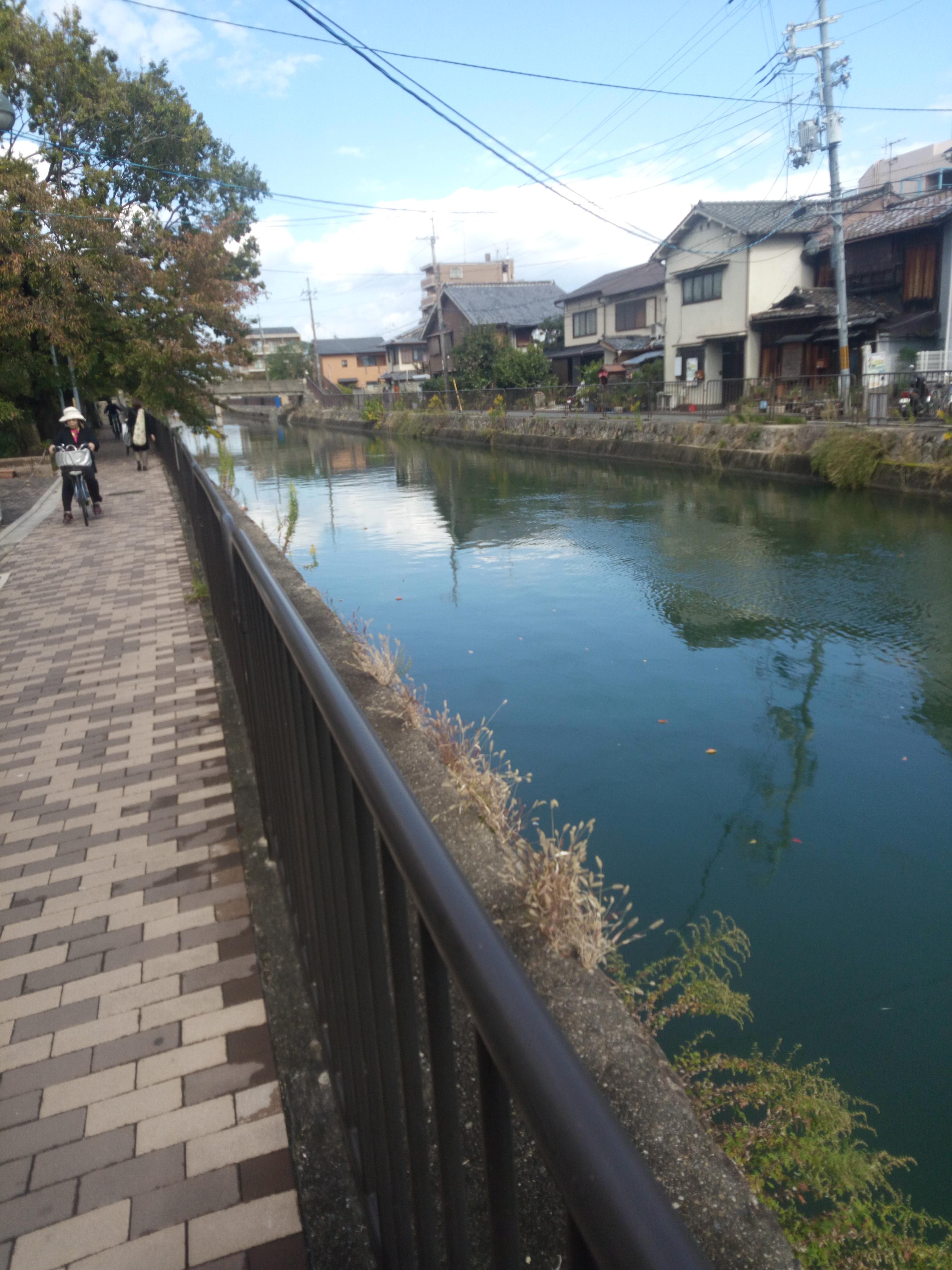 Along the water in kyoto! ️ r/japanpics