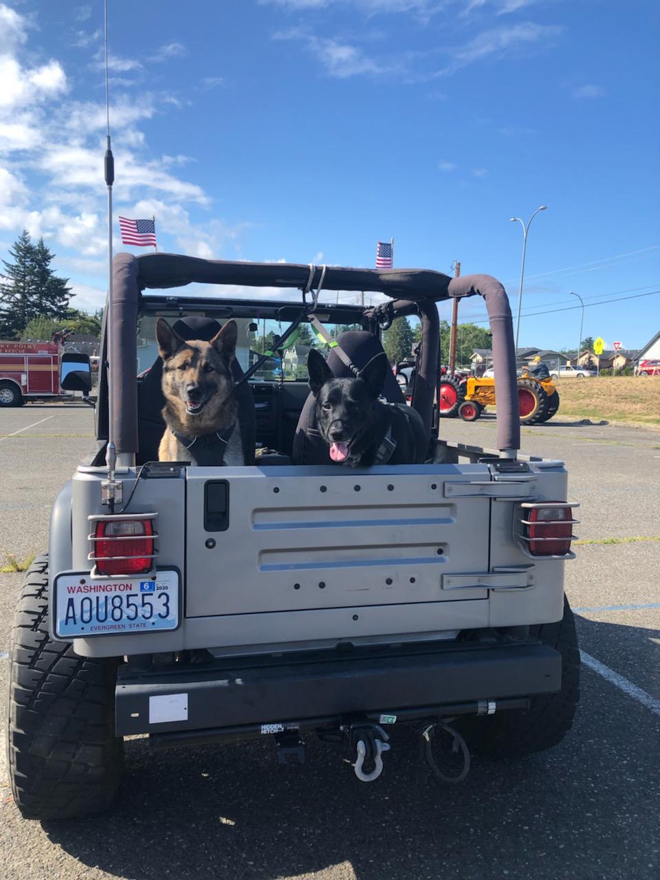 Jeep dogs r/WranglerTJ
